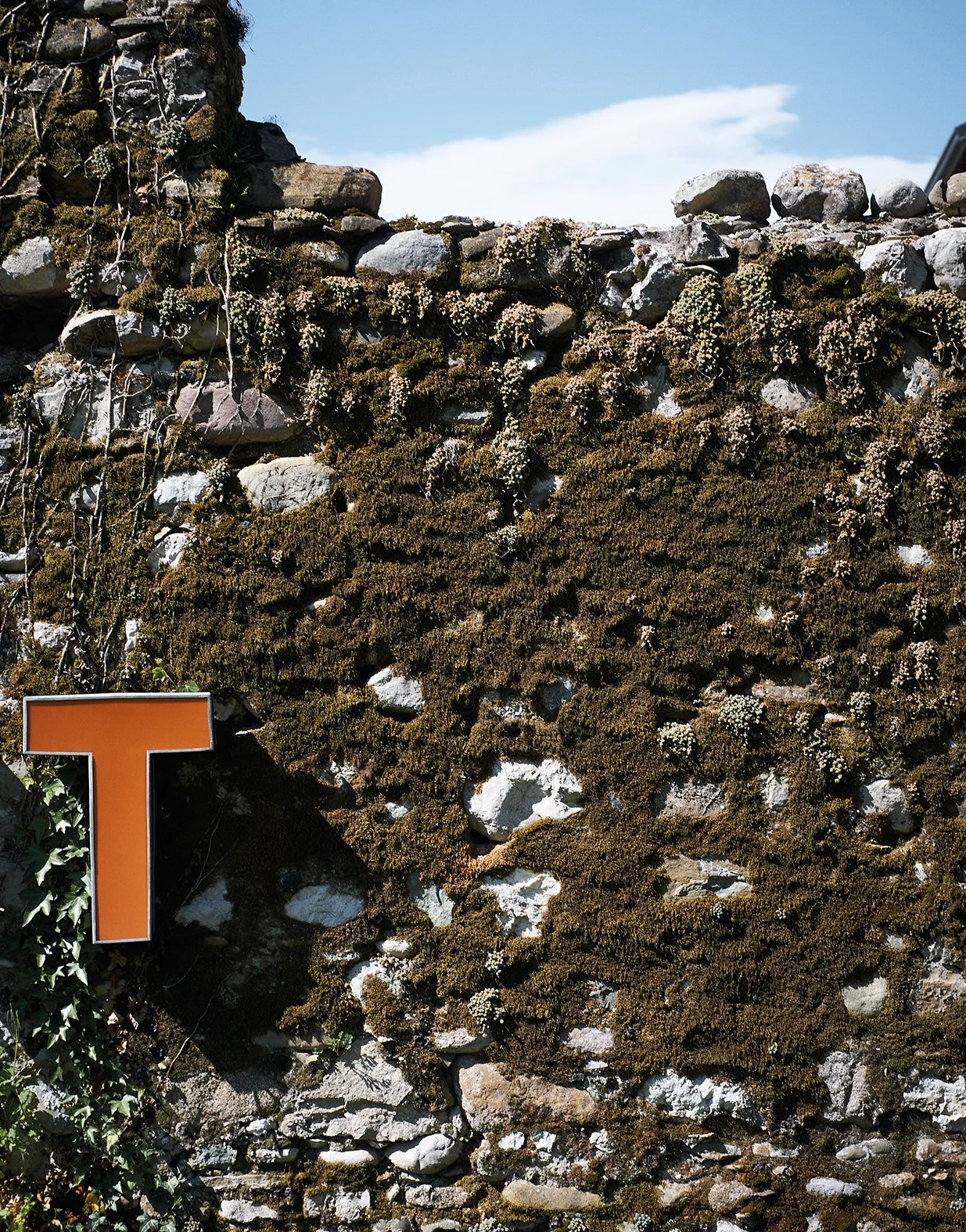 Ein gemauerter Zaun bedeckt mit Moos und kleinen weißen Blumen, mit einem großen orangenen Buchstaben T im unteren linken Bereich.