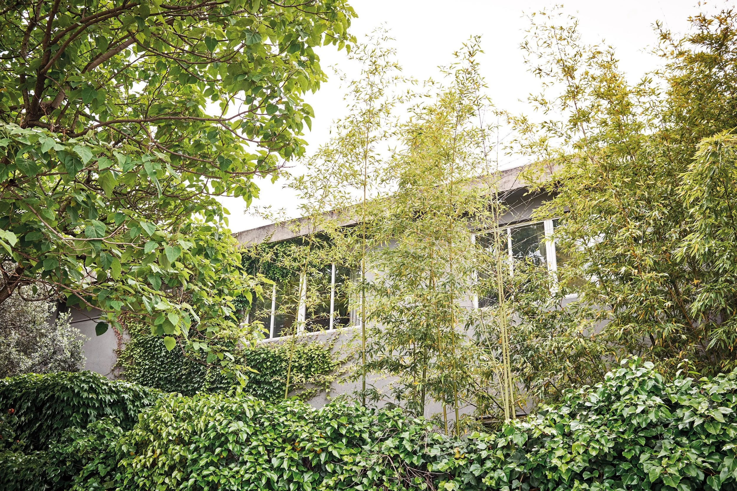 Grüner Garten mit Bäumen, Büsche und einem Gebäude im Hintergrund.