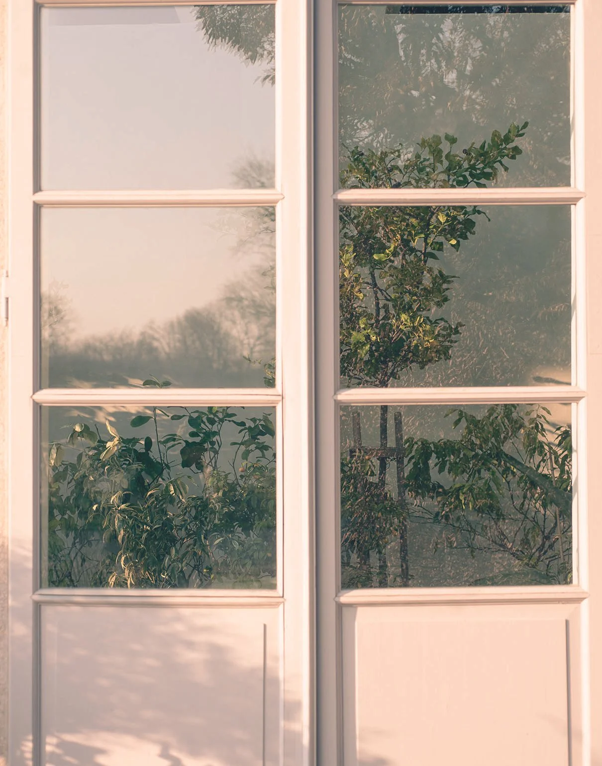 Blick durch eine weiße Sonnenfenster-Tür auf Bäume und Pflanzen im Garten, Sonnenlicht und Schatten