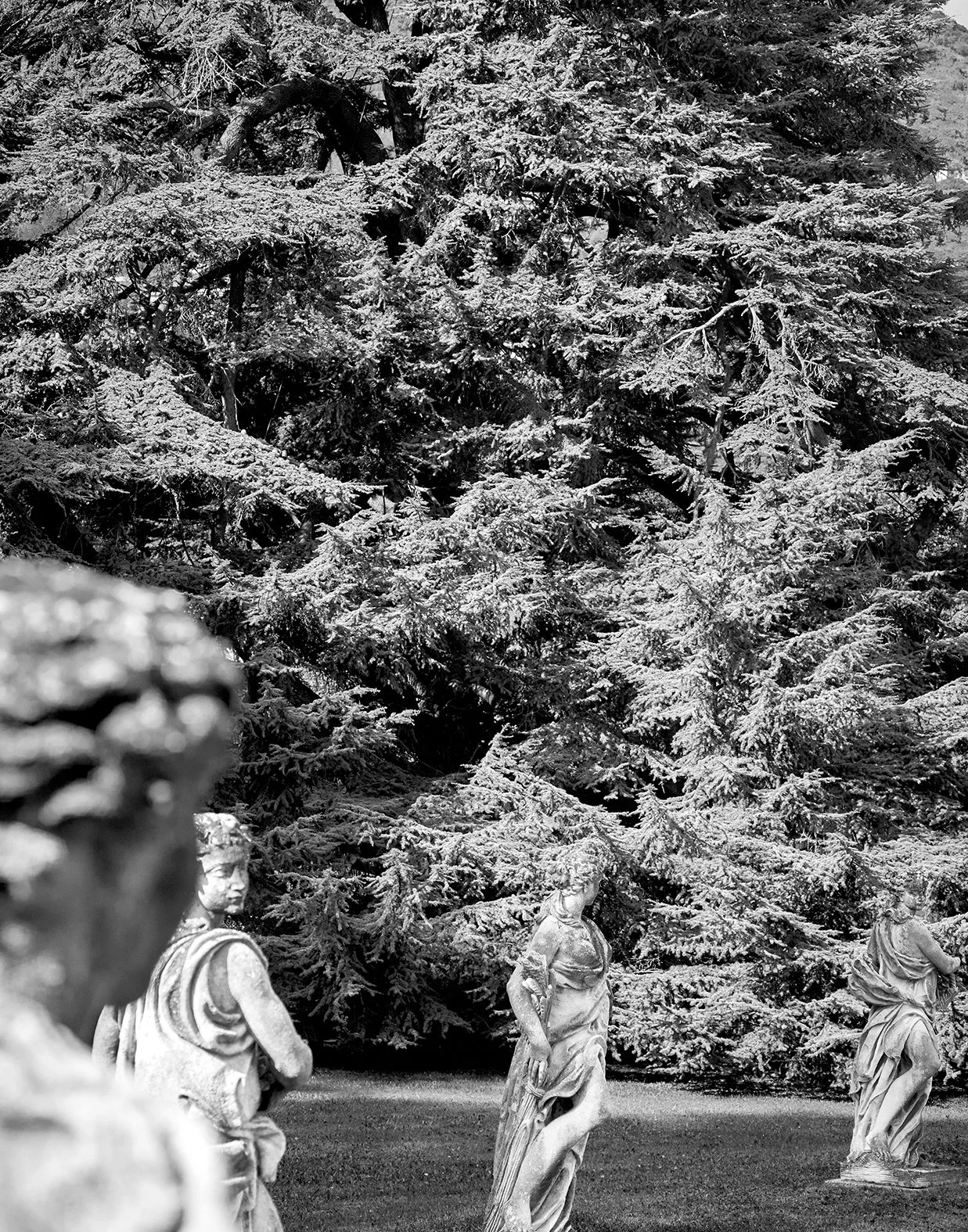Steinfiguren im Garten vor einem großen, schneebedeckten Baum in Schwarz-Weiß.