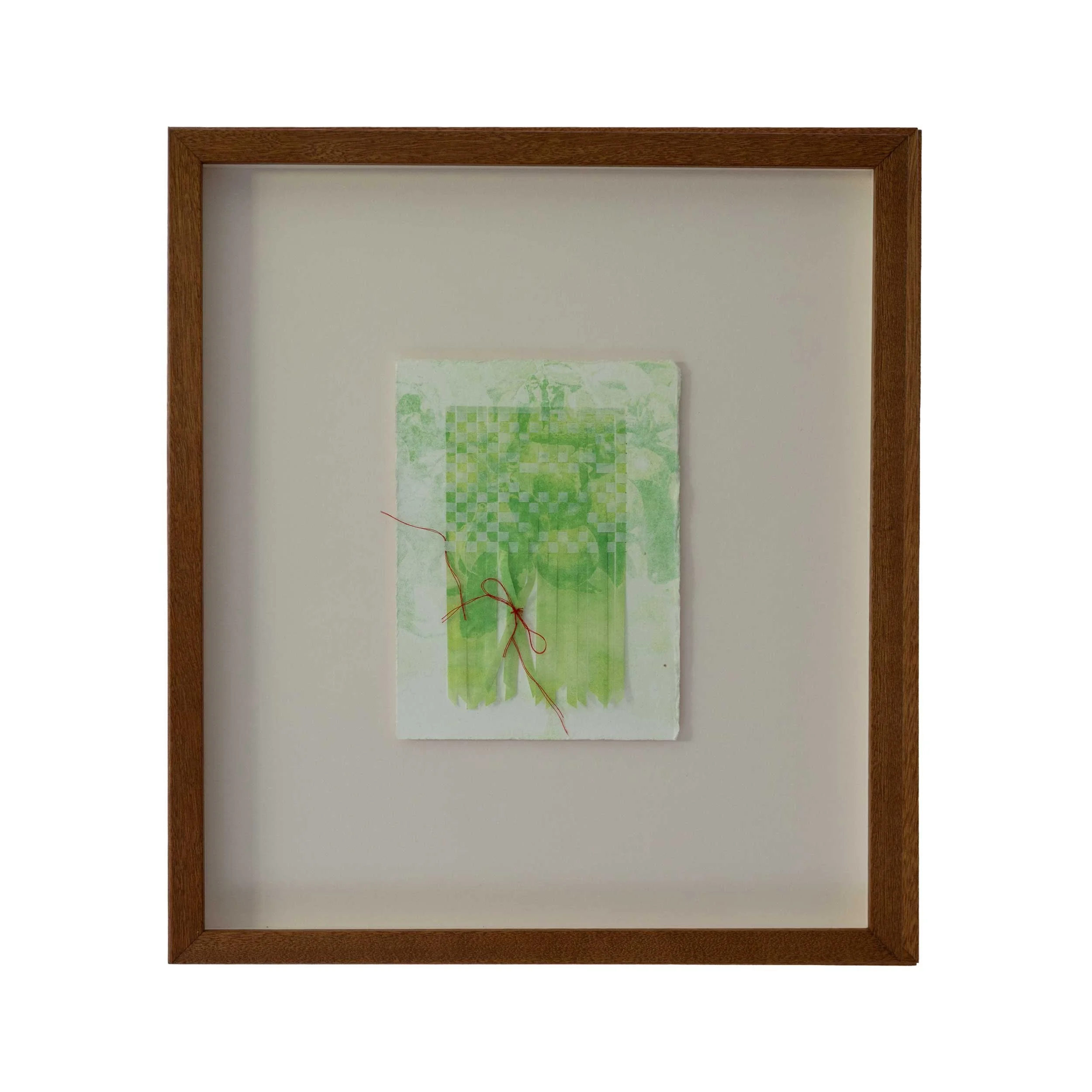 Plum Tree Branch