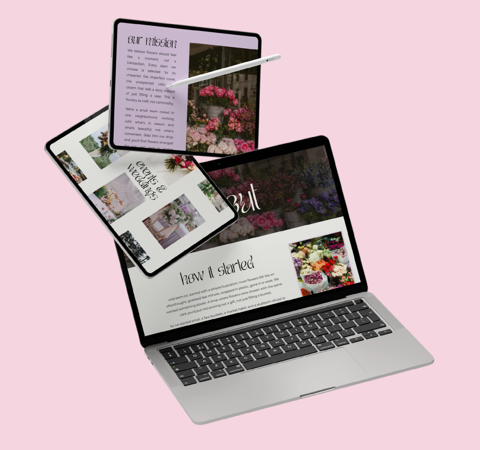 Wild Stem Co. website design shown across tablet and laptop, featuring various pages