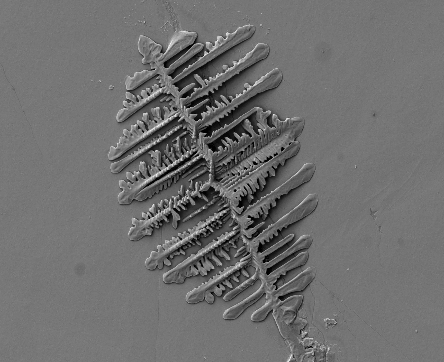 Corrosion stuff49.jpg