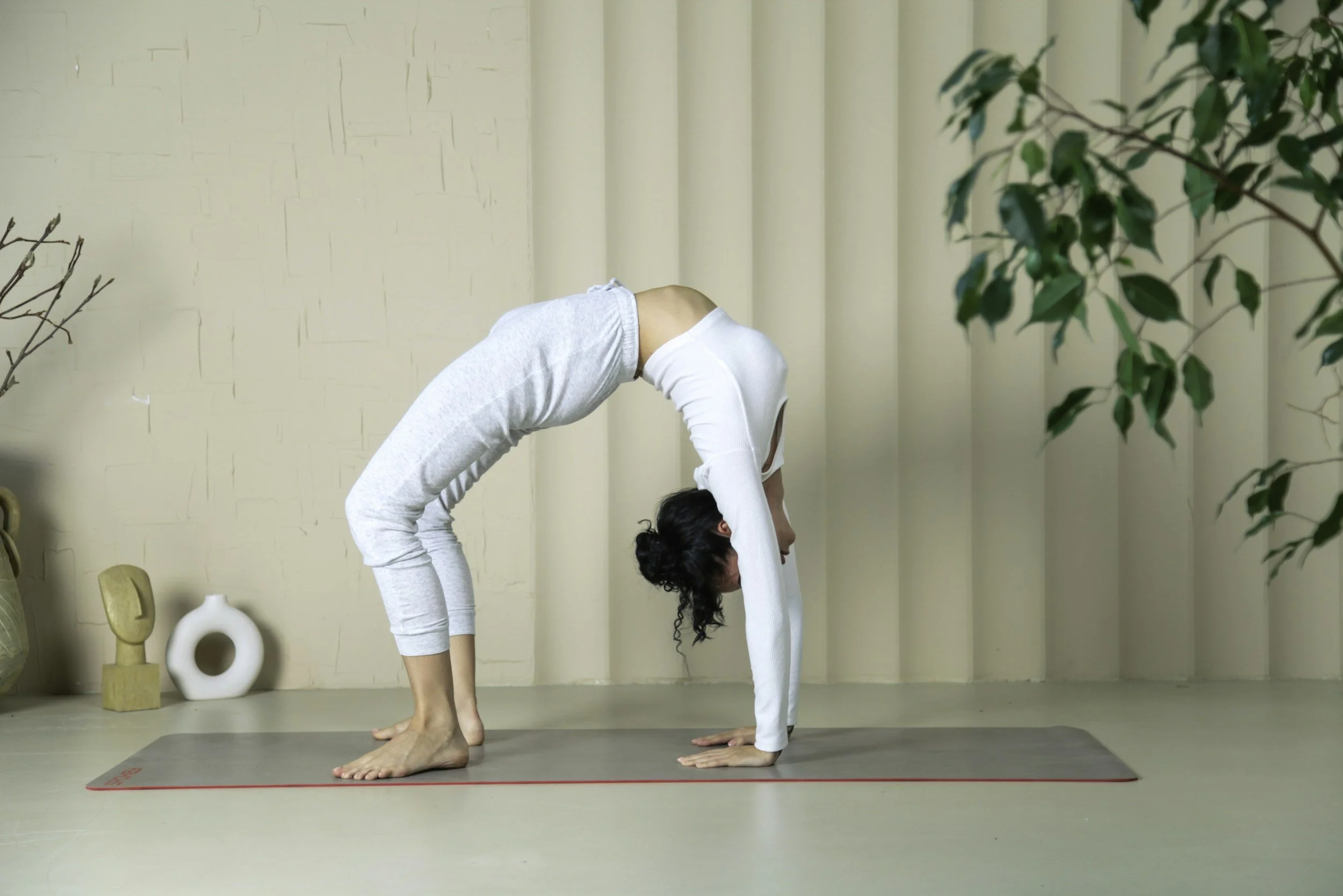 Une personnes pratiquent le yoga en position de pont, une jeune femme, dans une pièce avec décoration minimaliste et végétation.