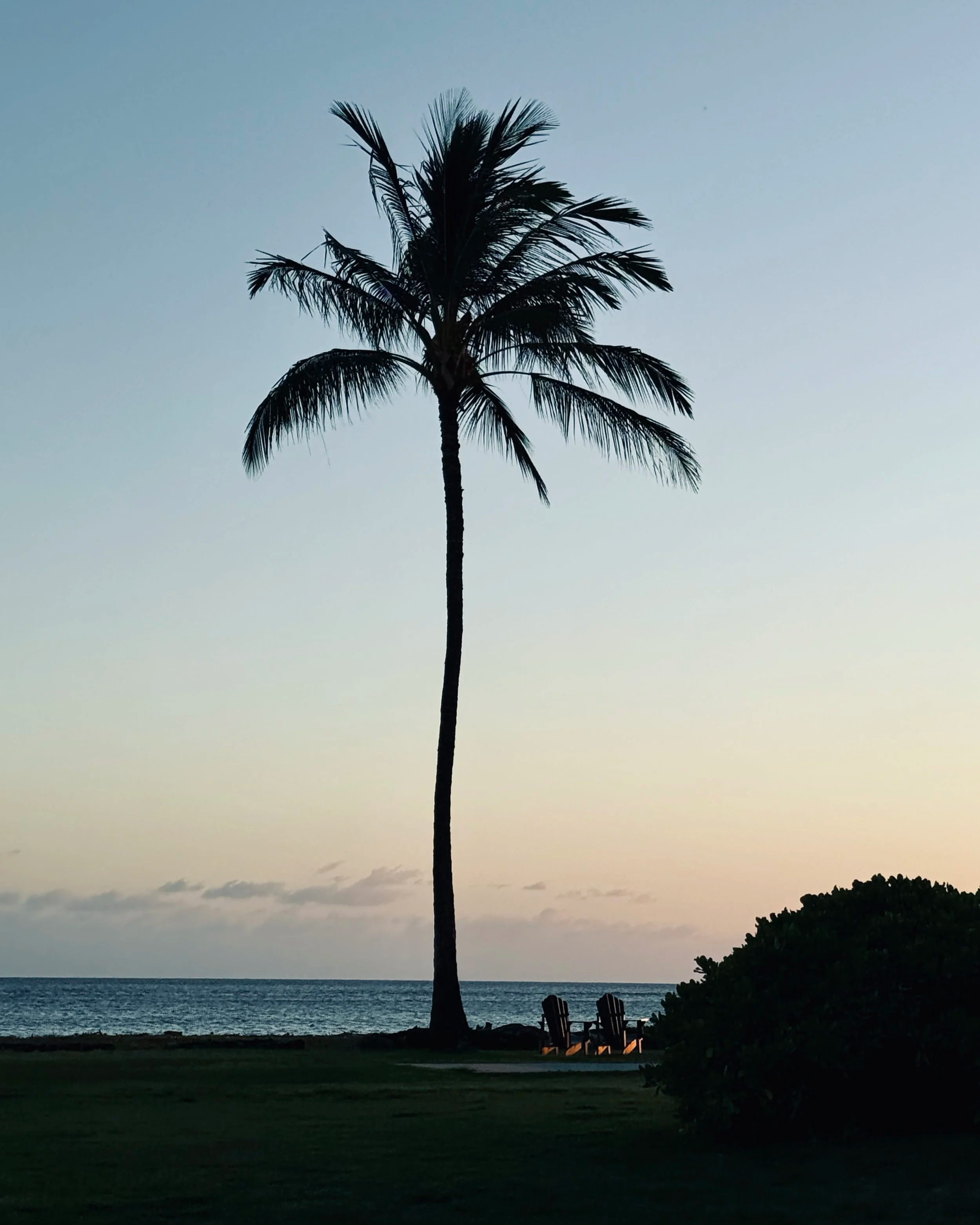 Une silhouette d'arbre de palmier au coucher du soleil près de la mer, avec deux chaises longues en bois devant.