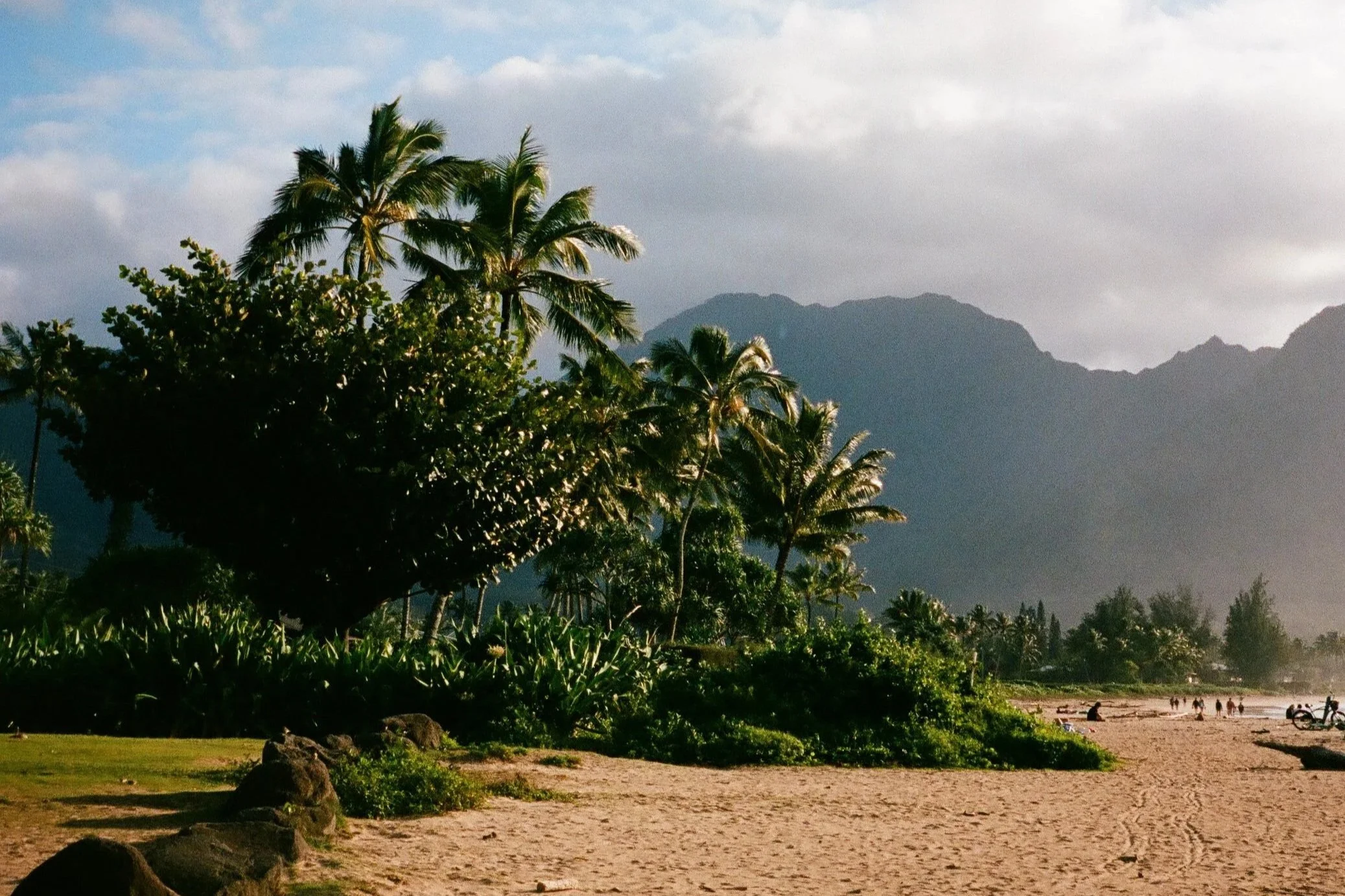 Plage tropicale avec des palmiers, des montagnes au loin, un ciel nuageux et des personnes se promenant sur la plage.