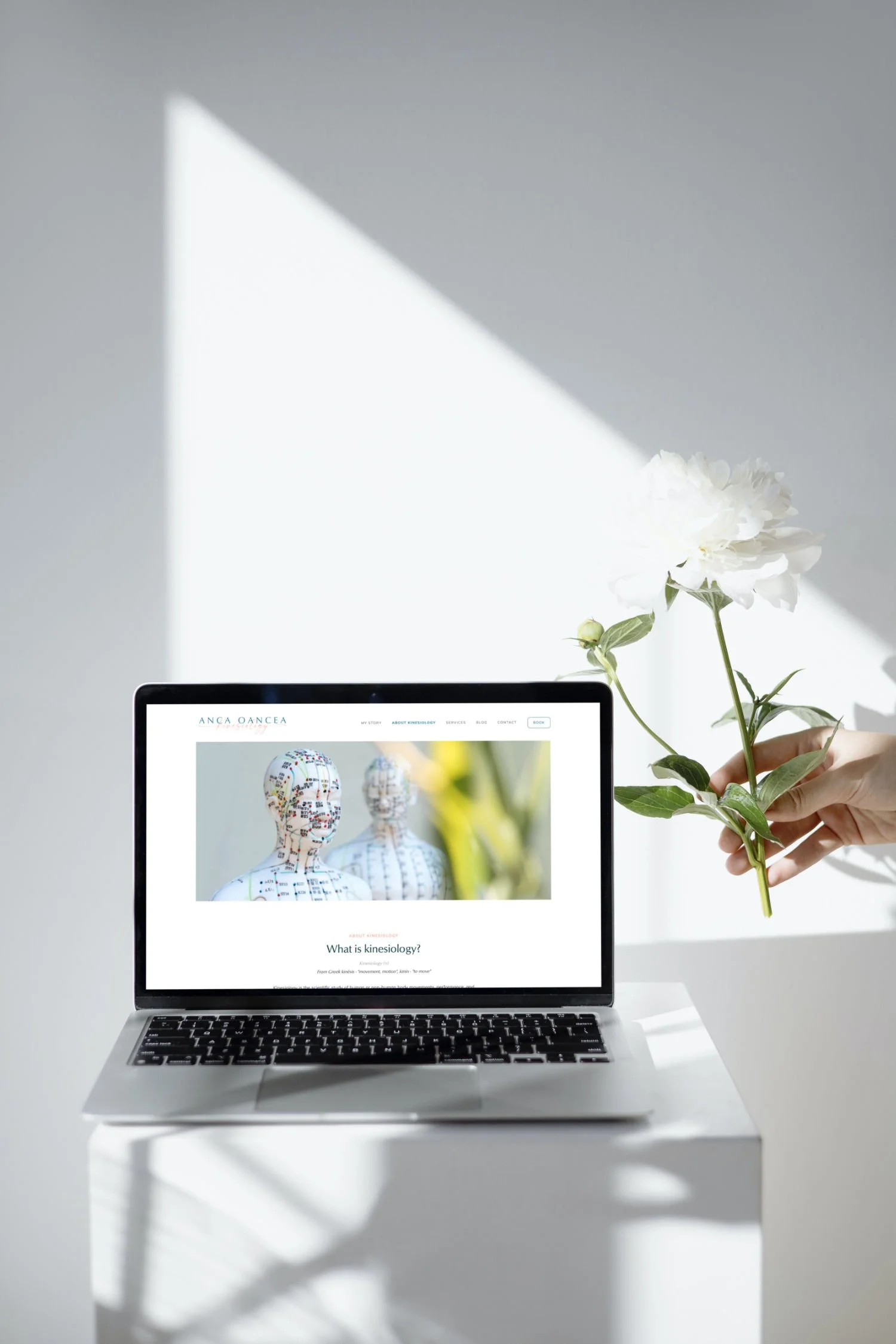 AOK-laptop-mockup2.jpg