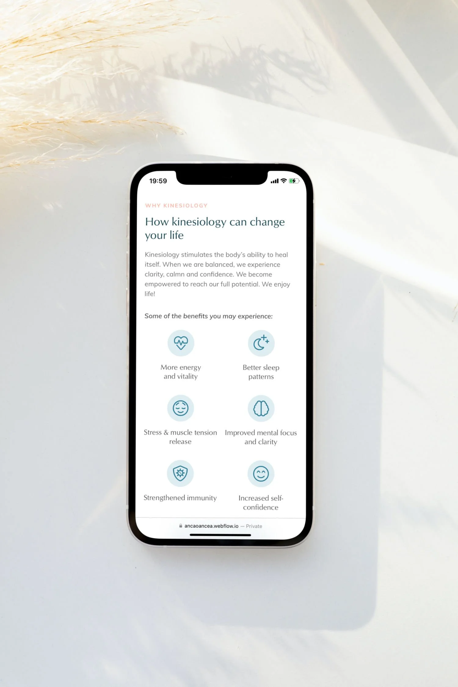 AOK-phone-mockup-2.jpg