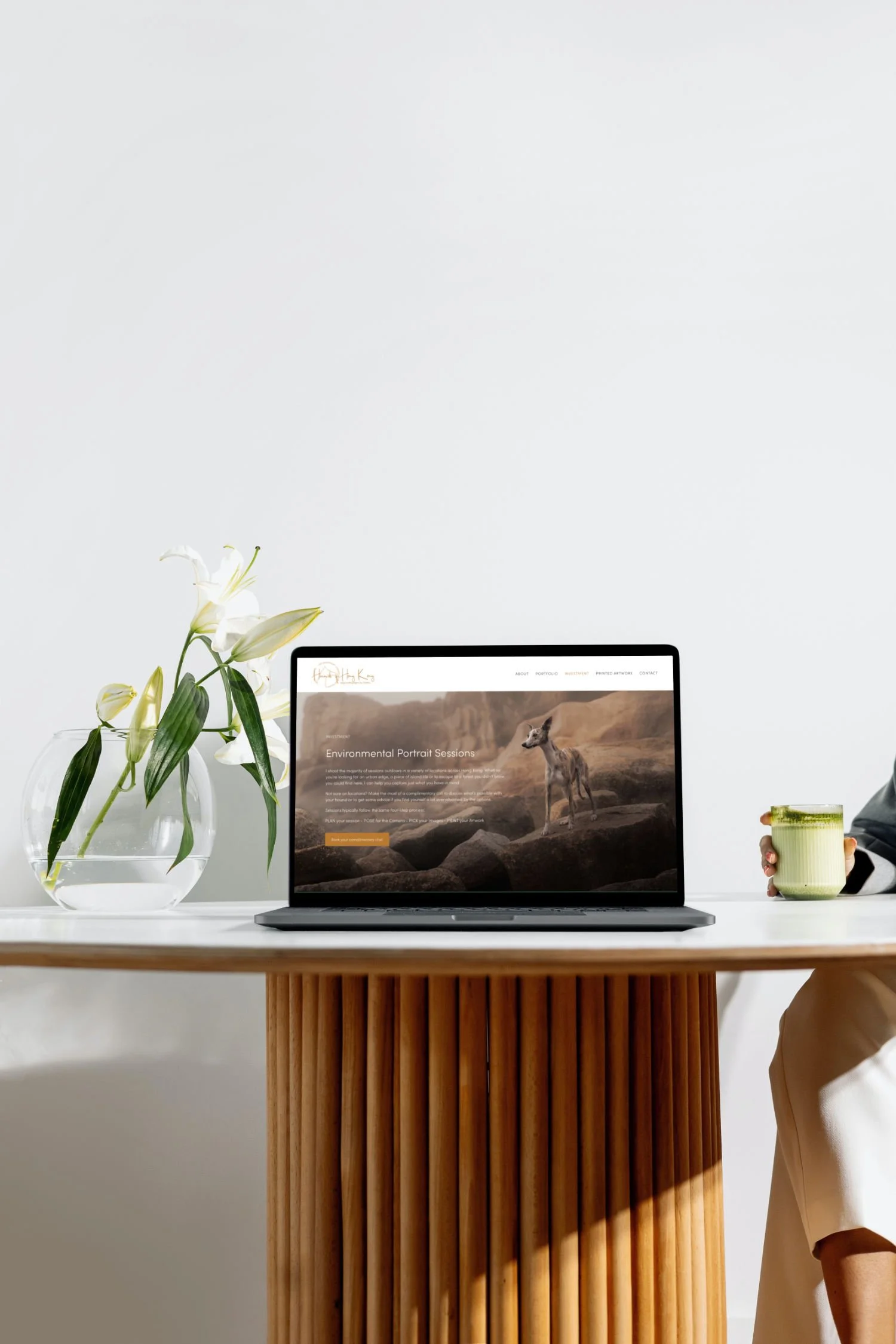 HOHK-laptop-mockup2.jpg
