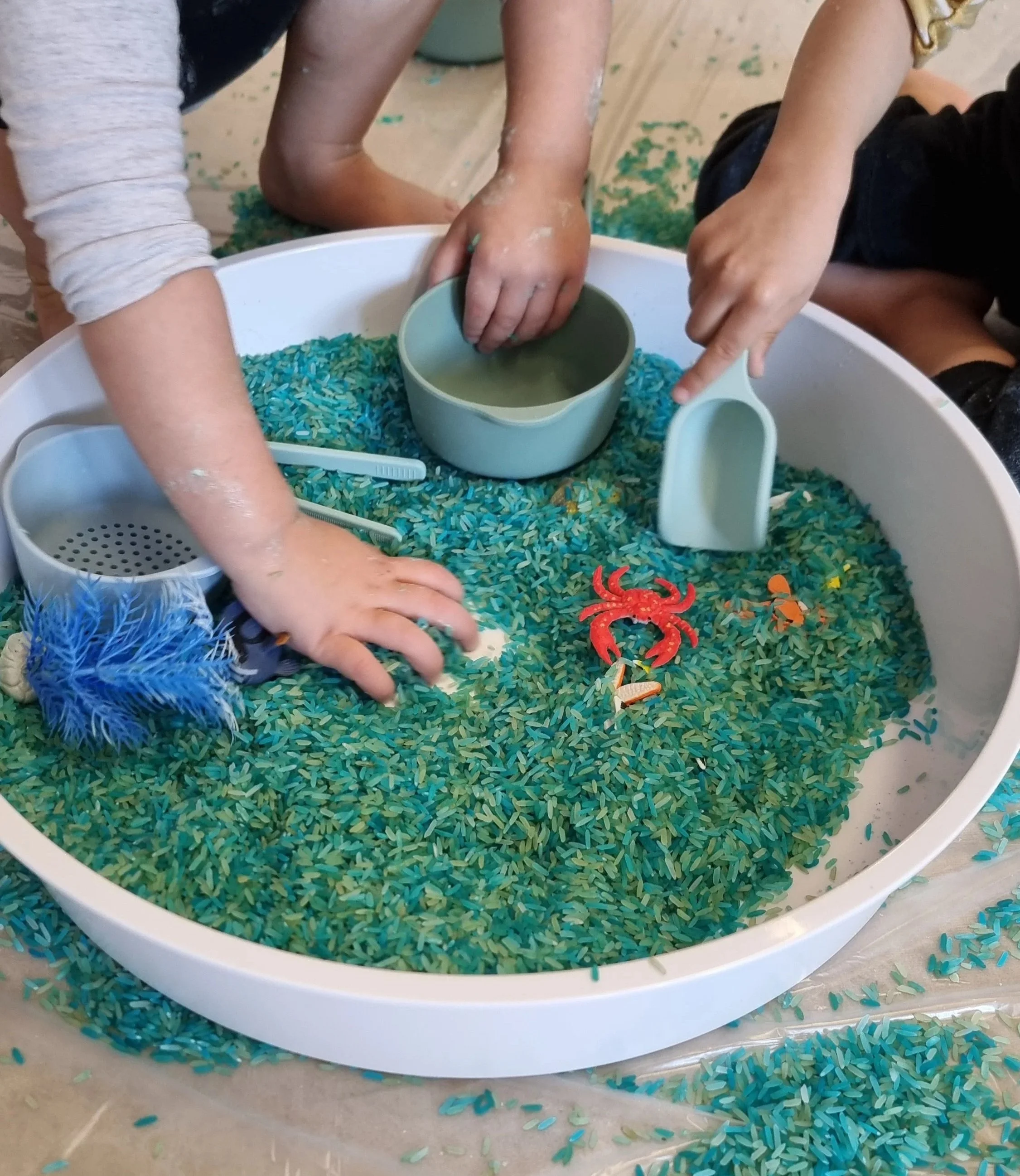 Bac sensoriel, mini monde de la mer