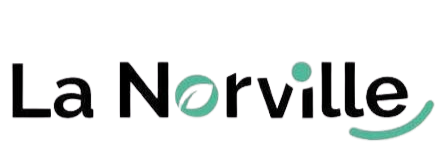 logo la norville.png