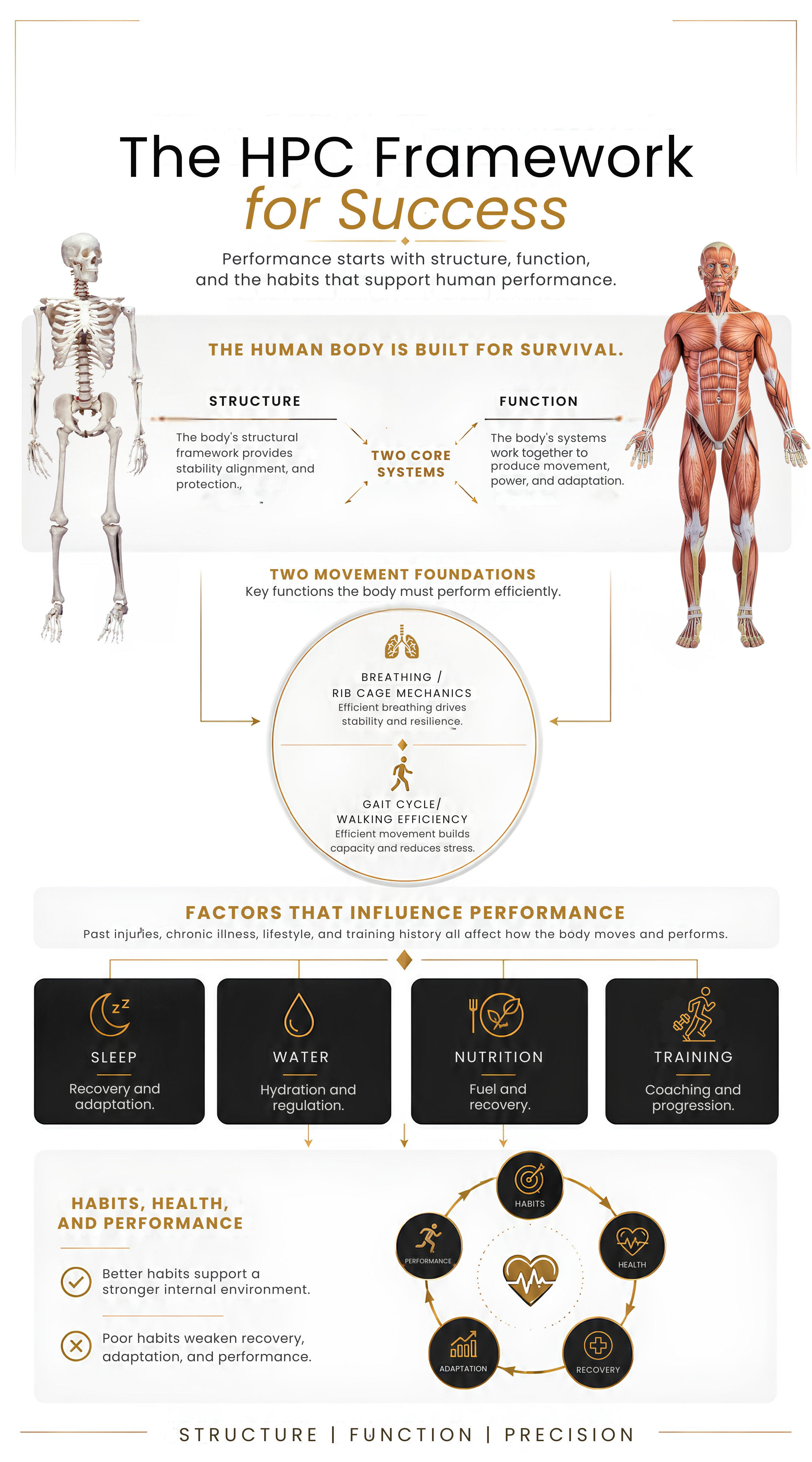 An infographic titled 'The HPC Framework for Success' illustrating human body structure and function, core systems, movement foundations, and factors influencing performance, including sleep, water, nutrition, training, and habits.