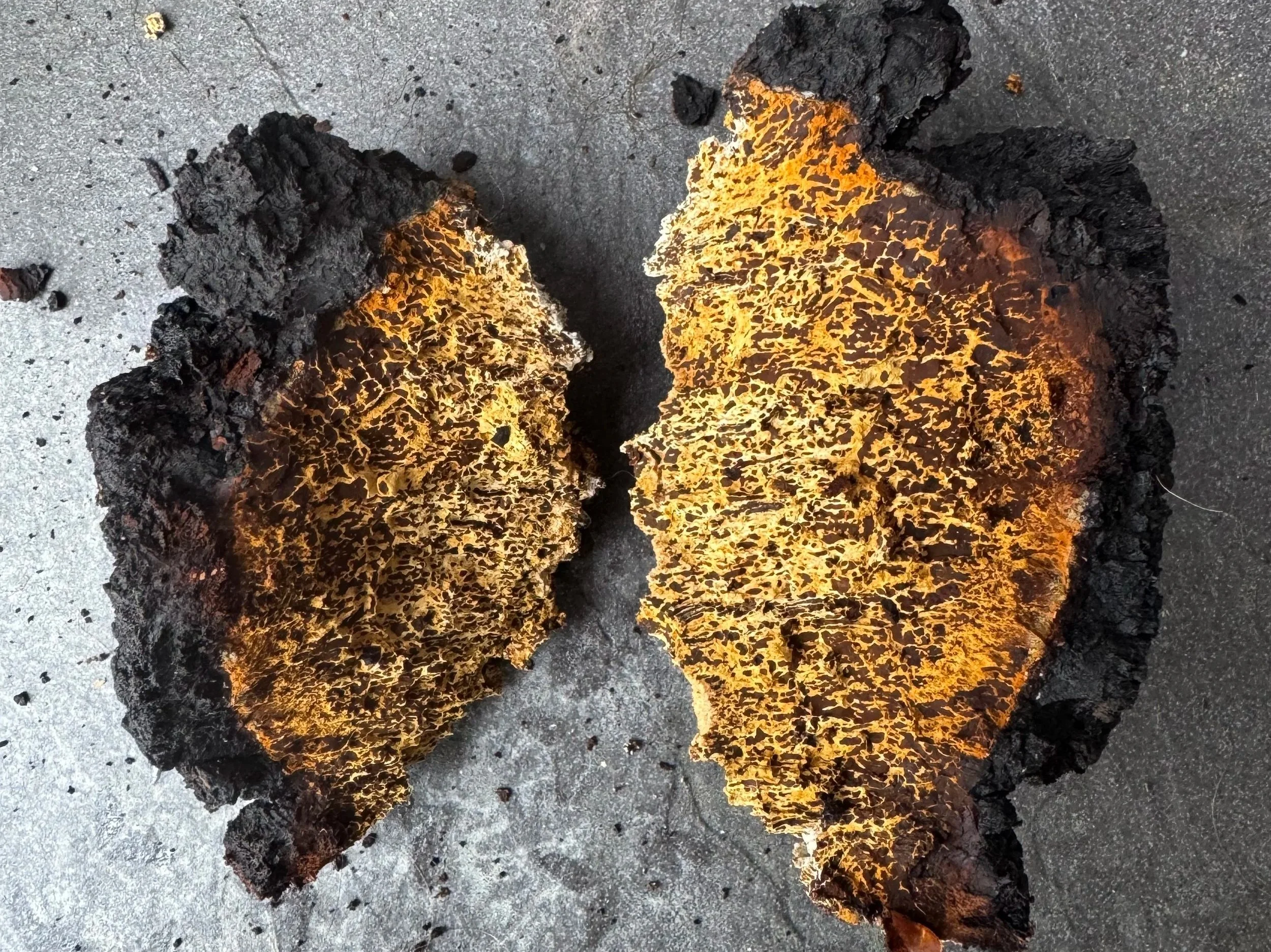 Mein Chaga-Ritual für kalte Tage