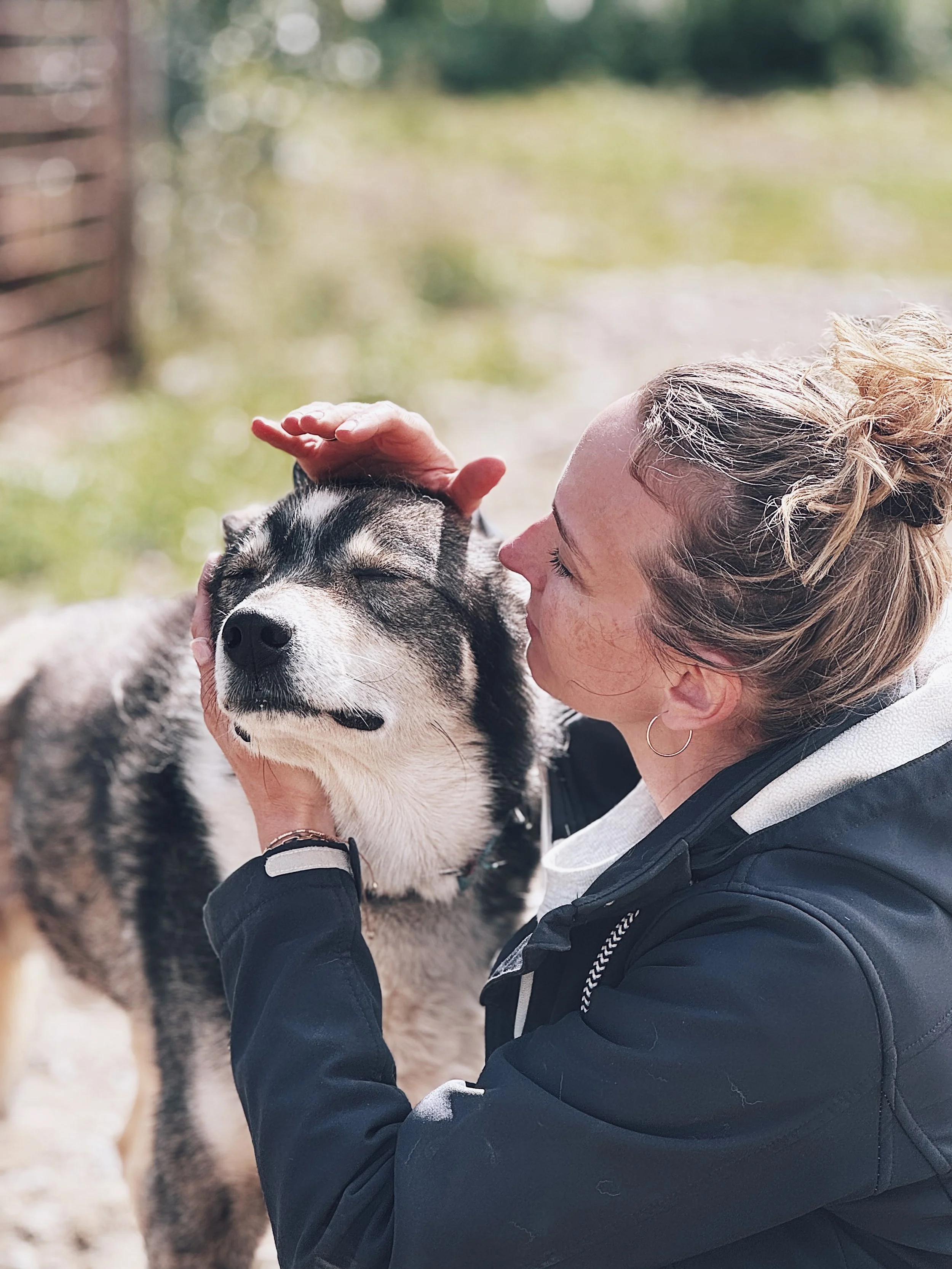 Eine Frau, die einen Hund streichelt, ist draußen zu sehen, mit grünem Hintergrund und weichen Lichtreflexen im Bild.