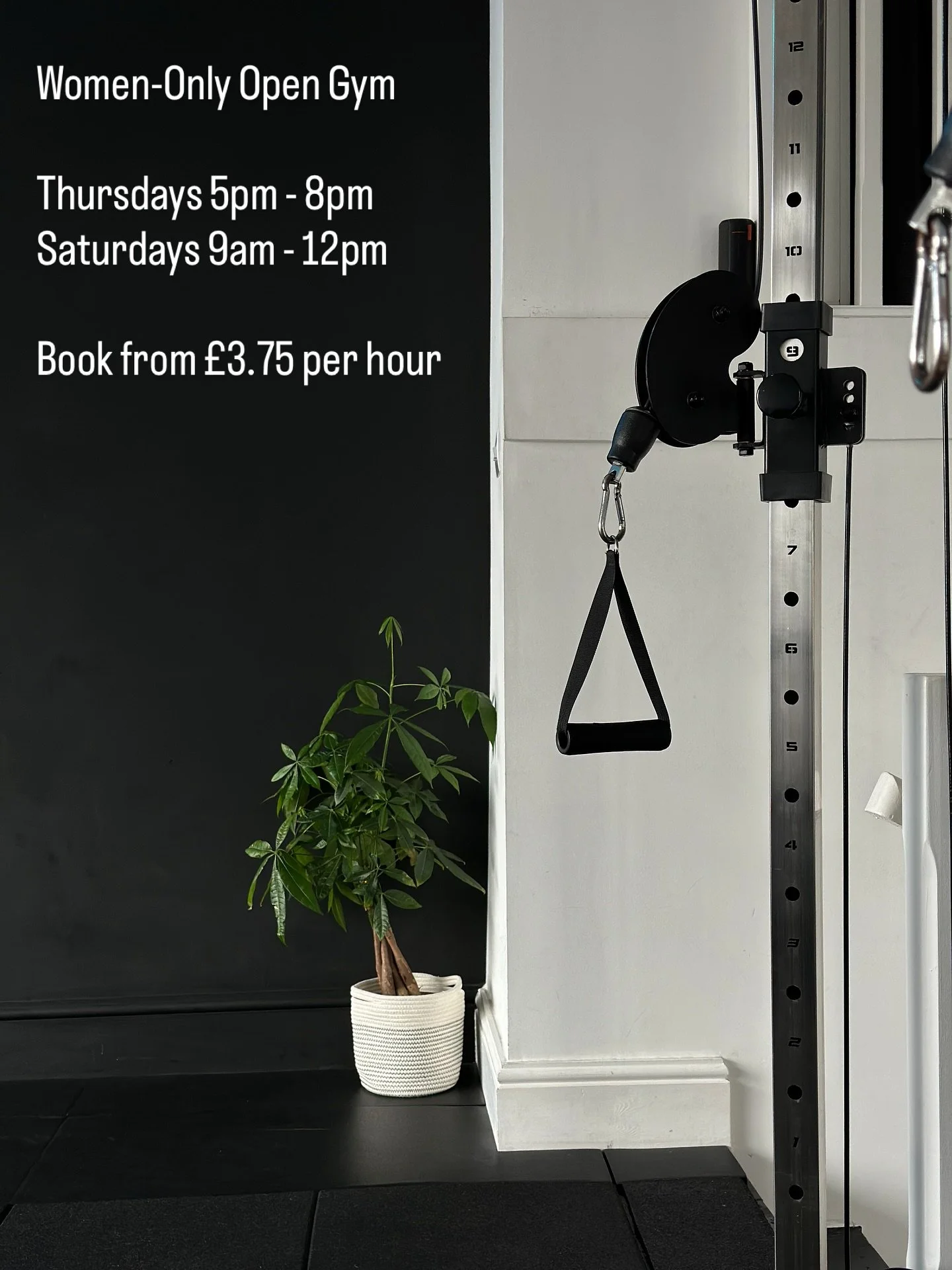 Our Women-Only Open Gym is your space to move, lift, and grow - without mirrors or judgement. 💪

📅 Thursdays: 5&ndash;8pm
📅 Saturdays: 9am&ndash;12pm

New to the gym? No worries - we can write you a programme so you feel confident and supported fr