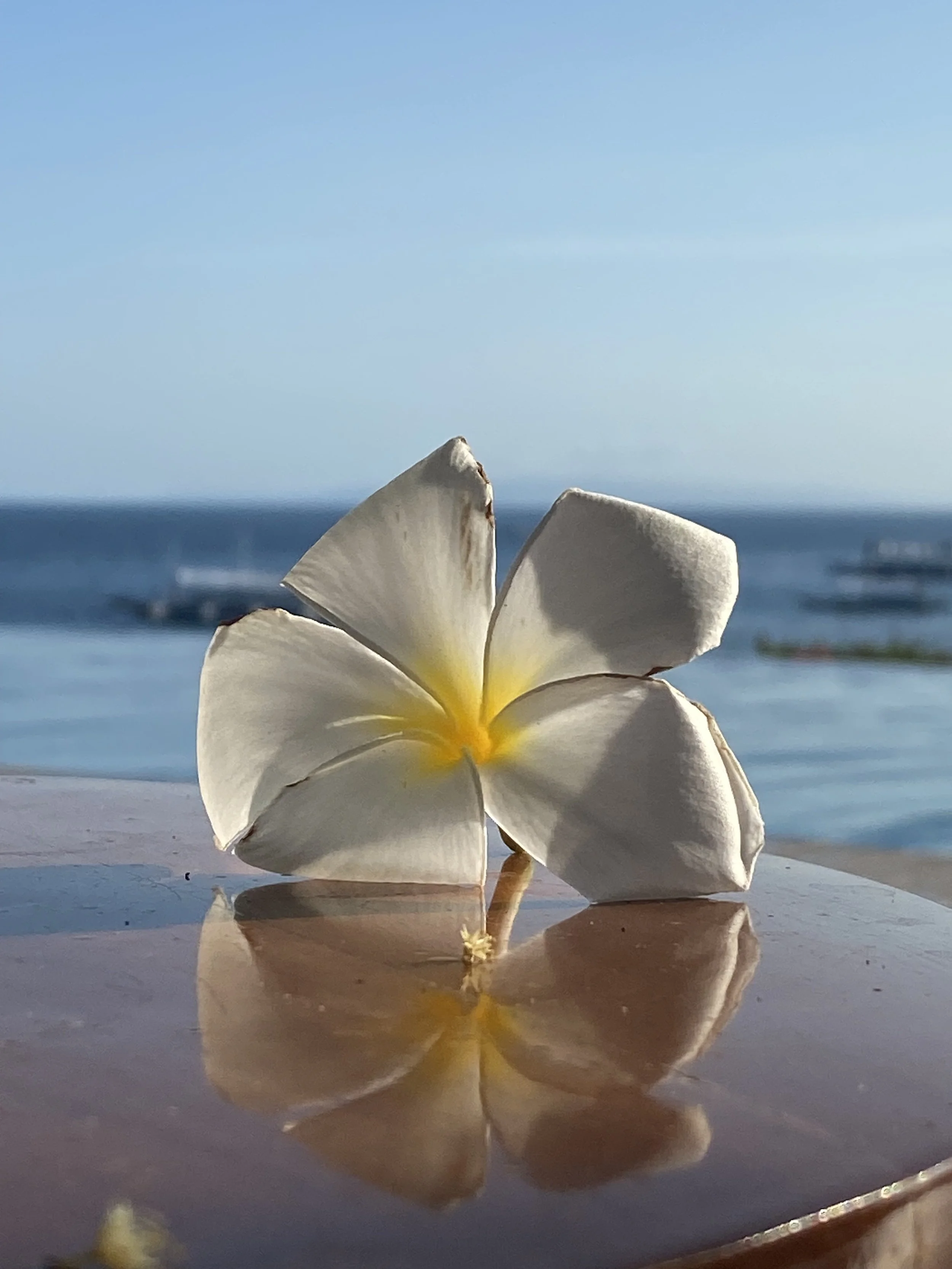 How to Mindfully Manage Tinnitus