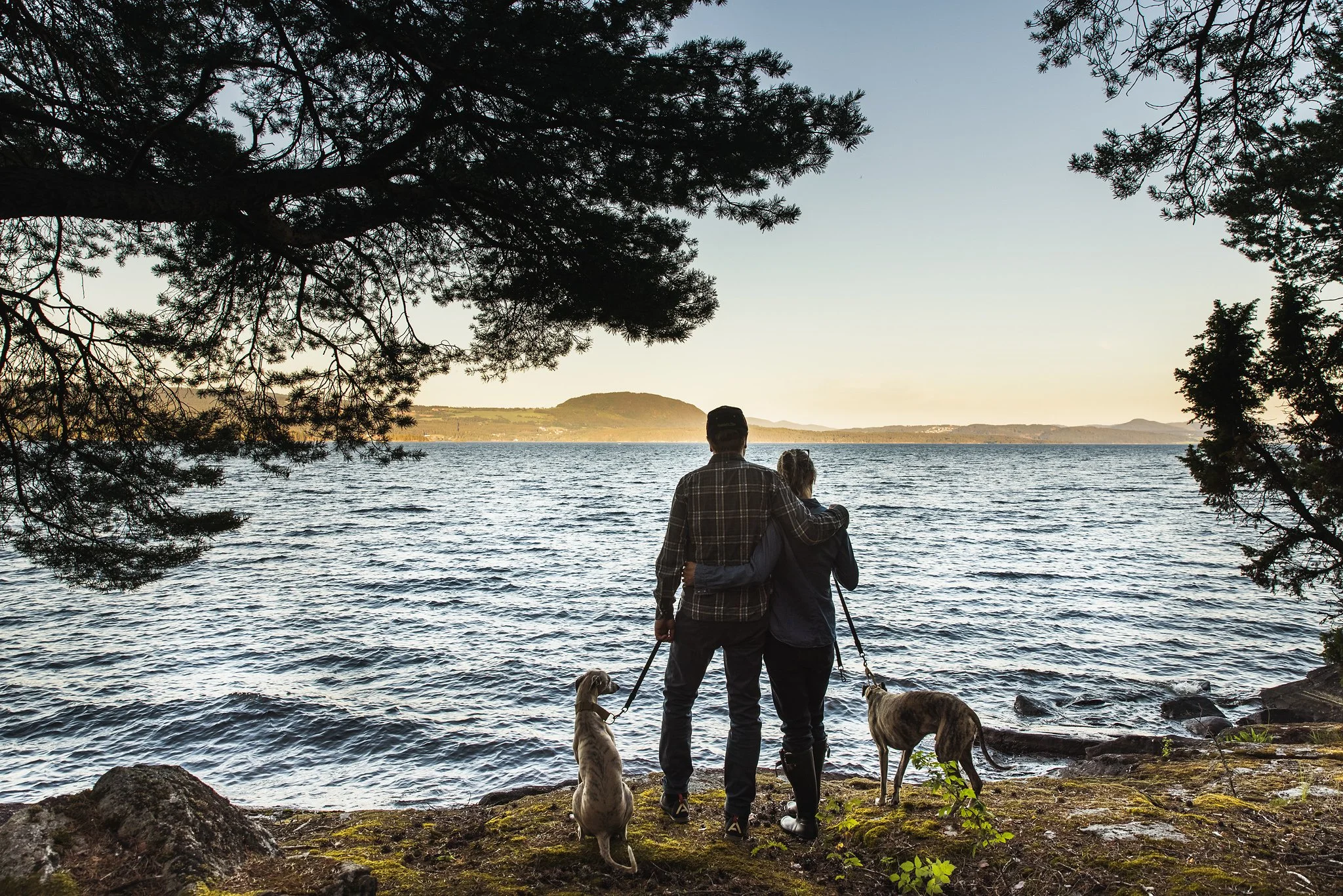 A couple stands on a lakeshore, holding leashes with three dogs, looking out over a lake with forested hills in the distance, framed by trees.