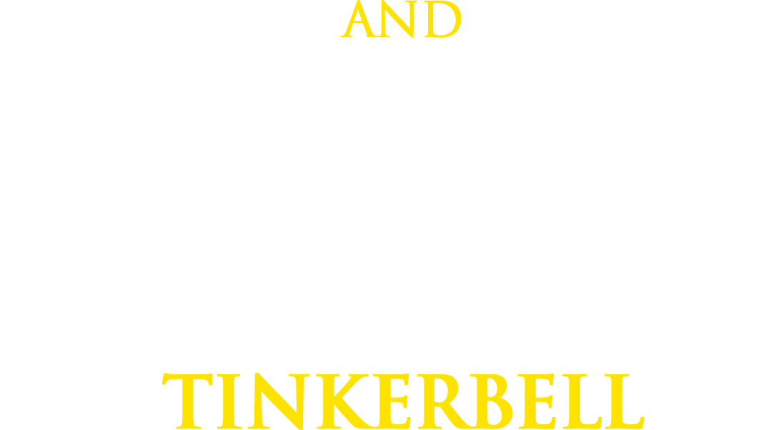 Book cover titled 'And Molly Lanaghan (Dancing on Ice Star) Tinkerbell' with a black background, yellow and white text.