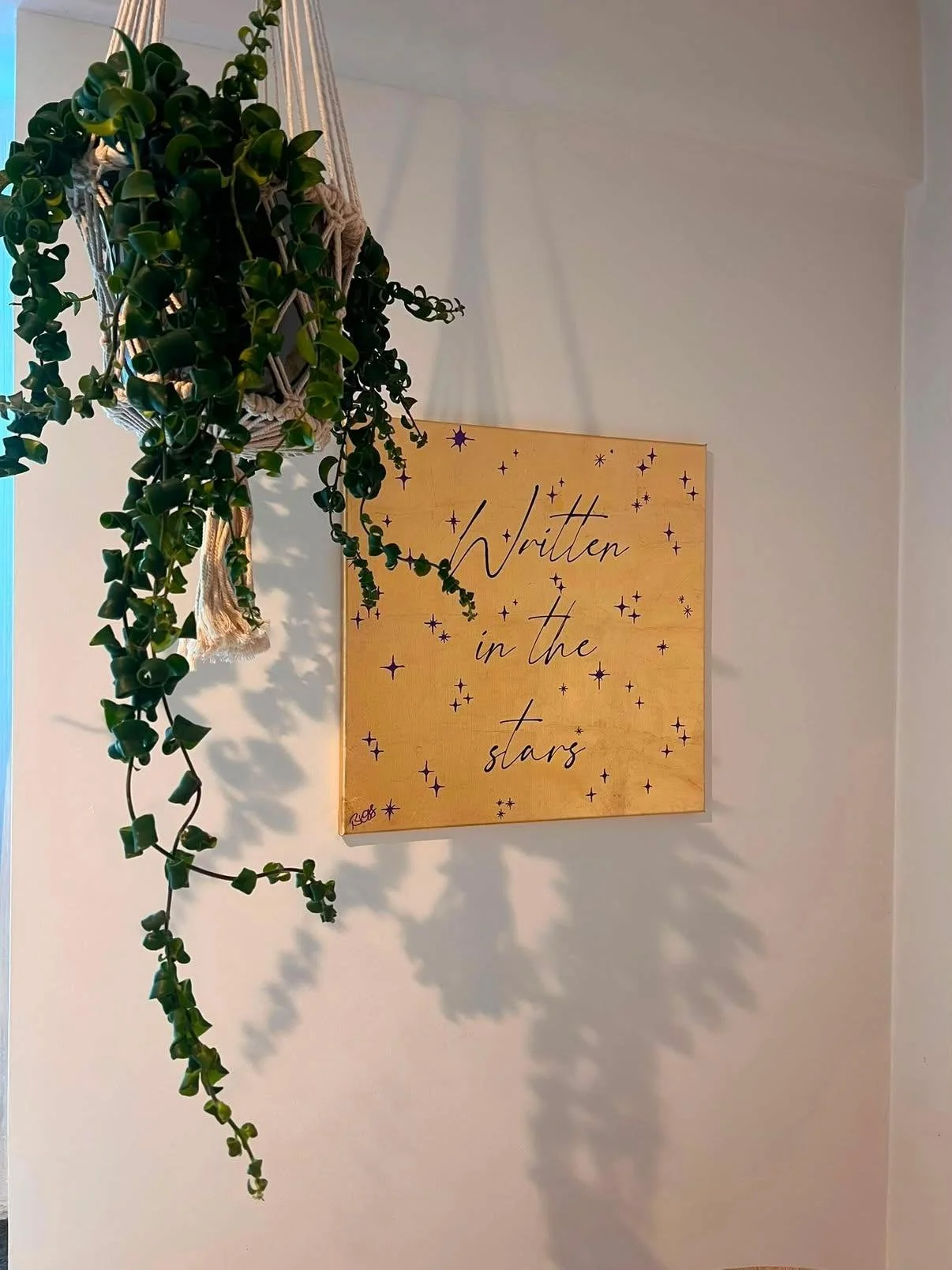 Written in The Stars bei Hans Sarpei 2.jpg