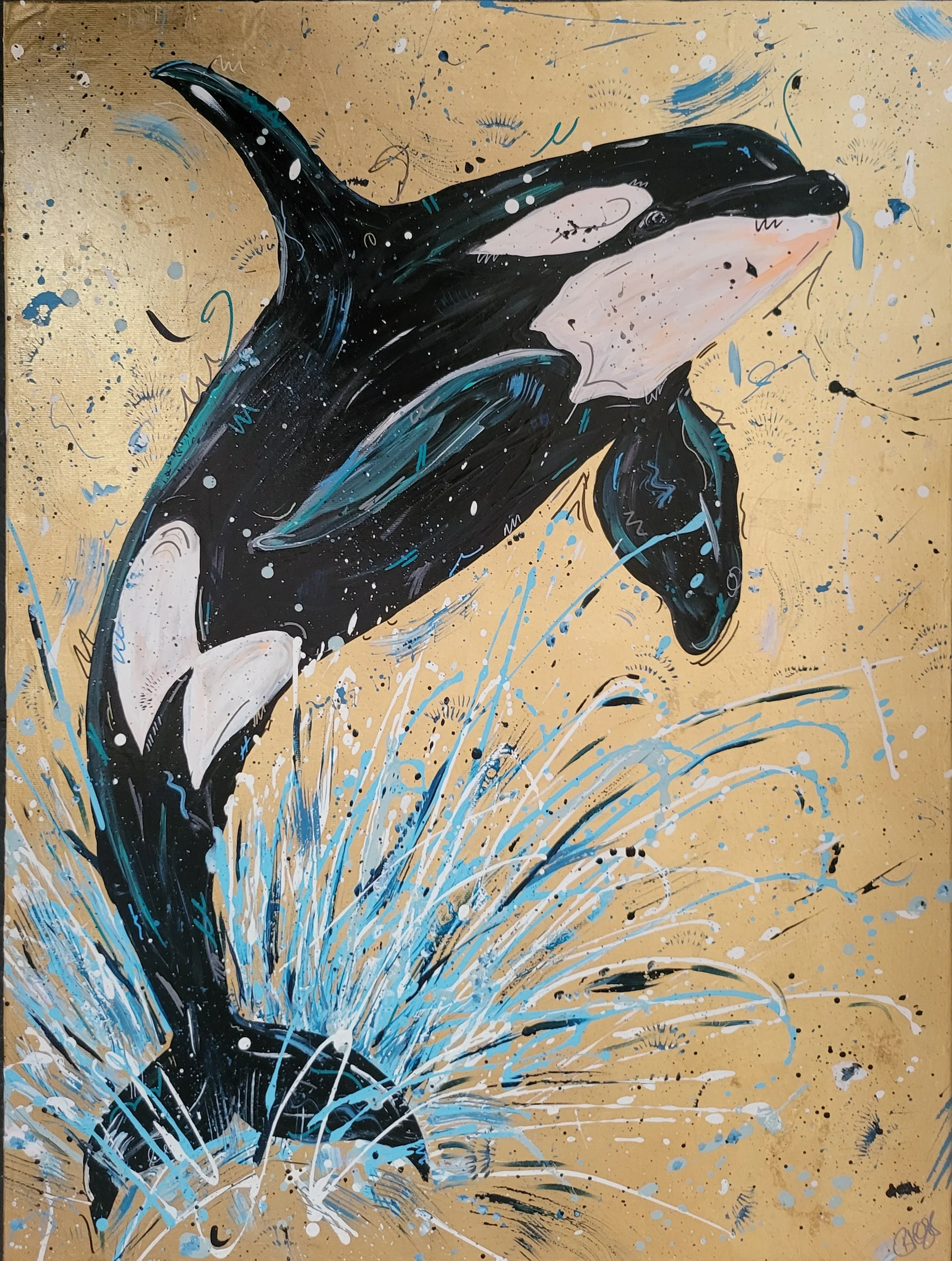 Orca.jpg