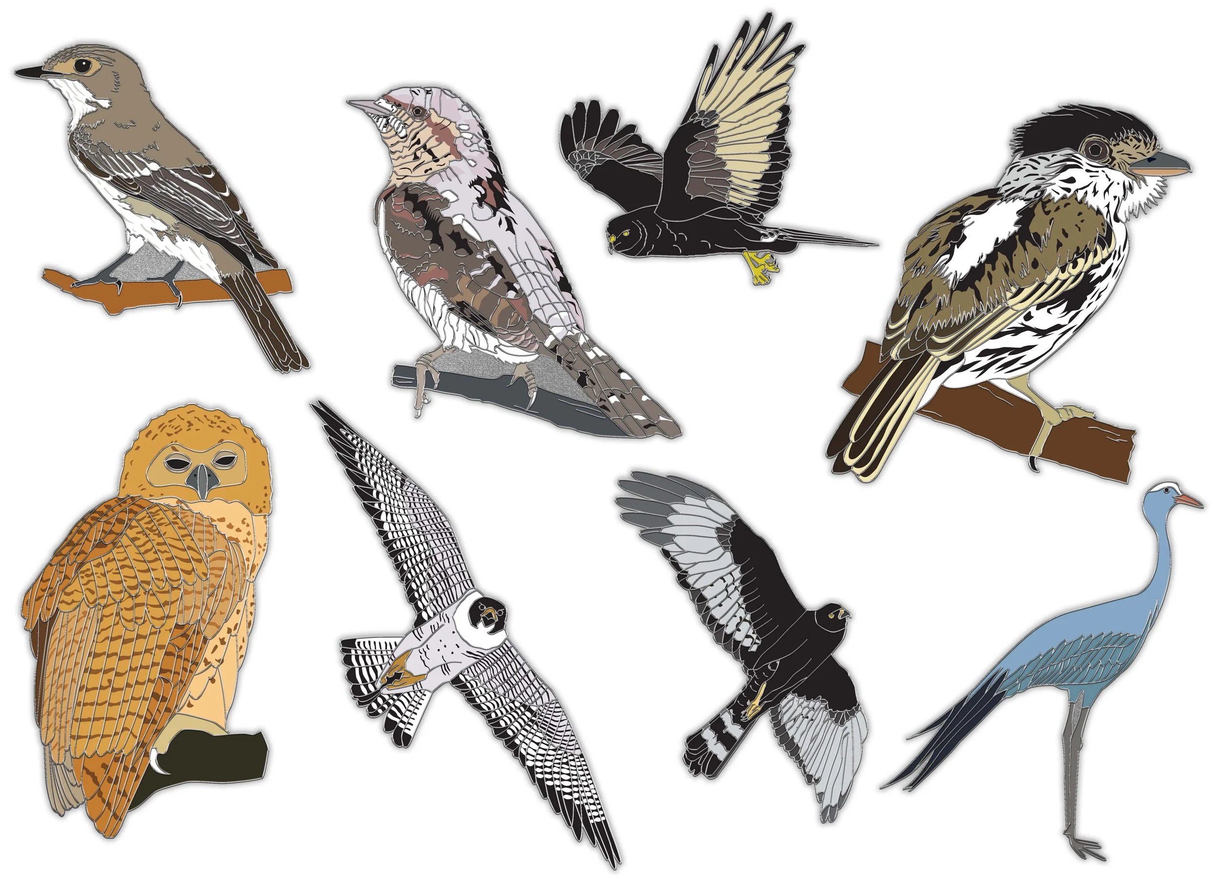 RSPB Badges