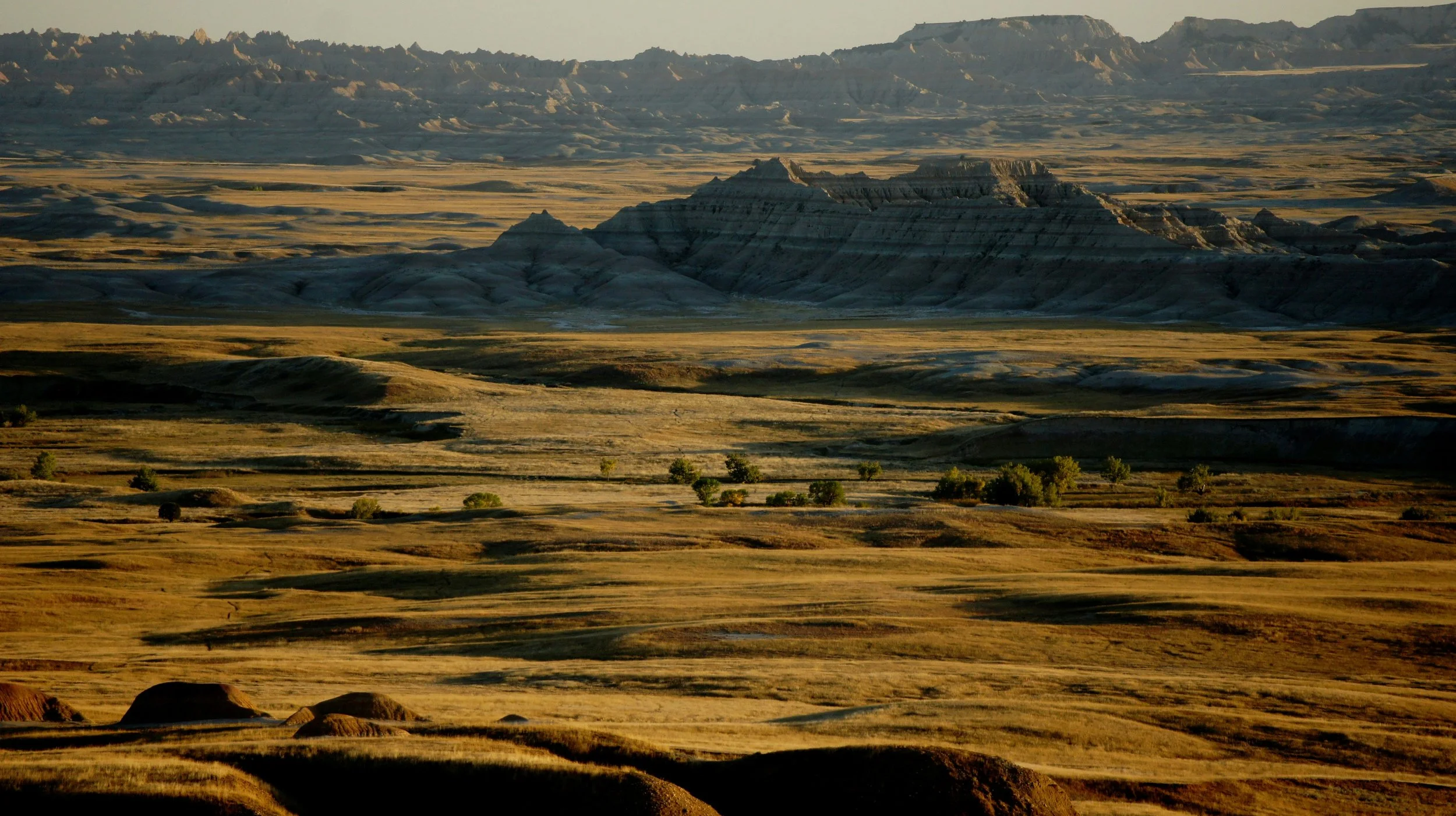 Description	Sweeping view of golden amber grassland prairie in the foreground with dramatic eroded Badlands rock formations rising in the background. Warm golden tones, no sky visible — the land fills the entire frame.
