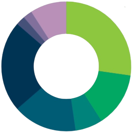 A donut chart with multiple colored segments representing different data categories.