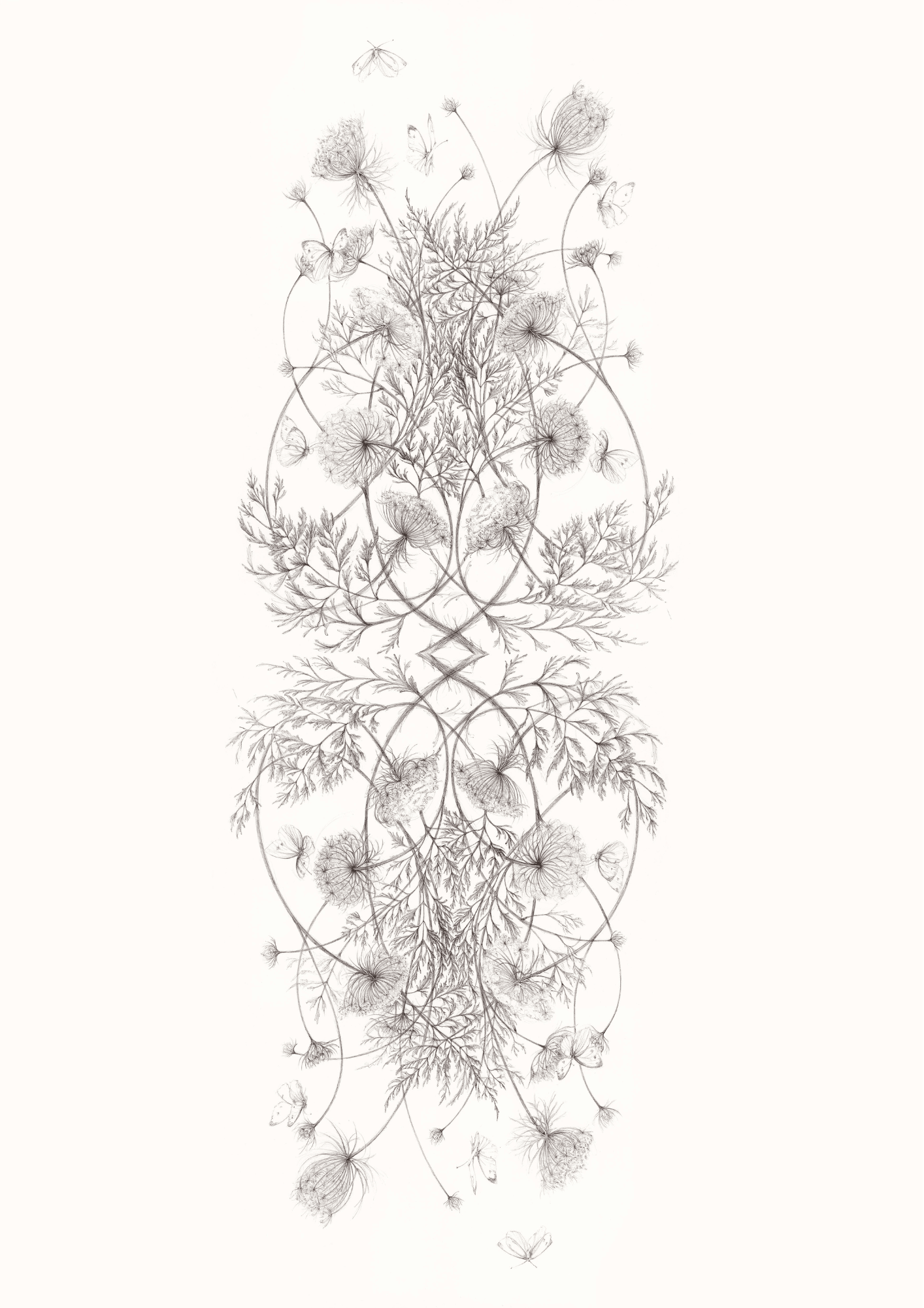 The Butterfly Nest Lace