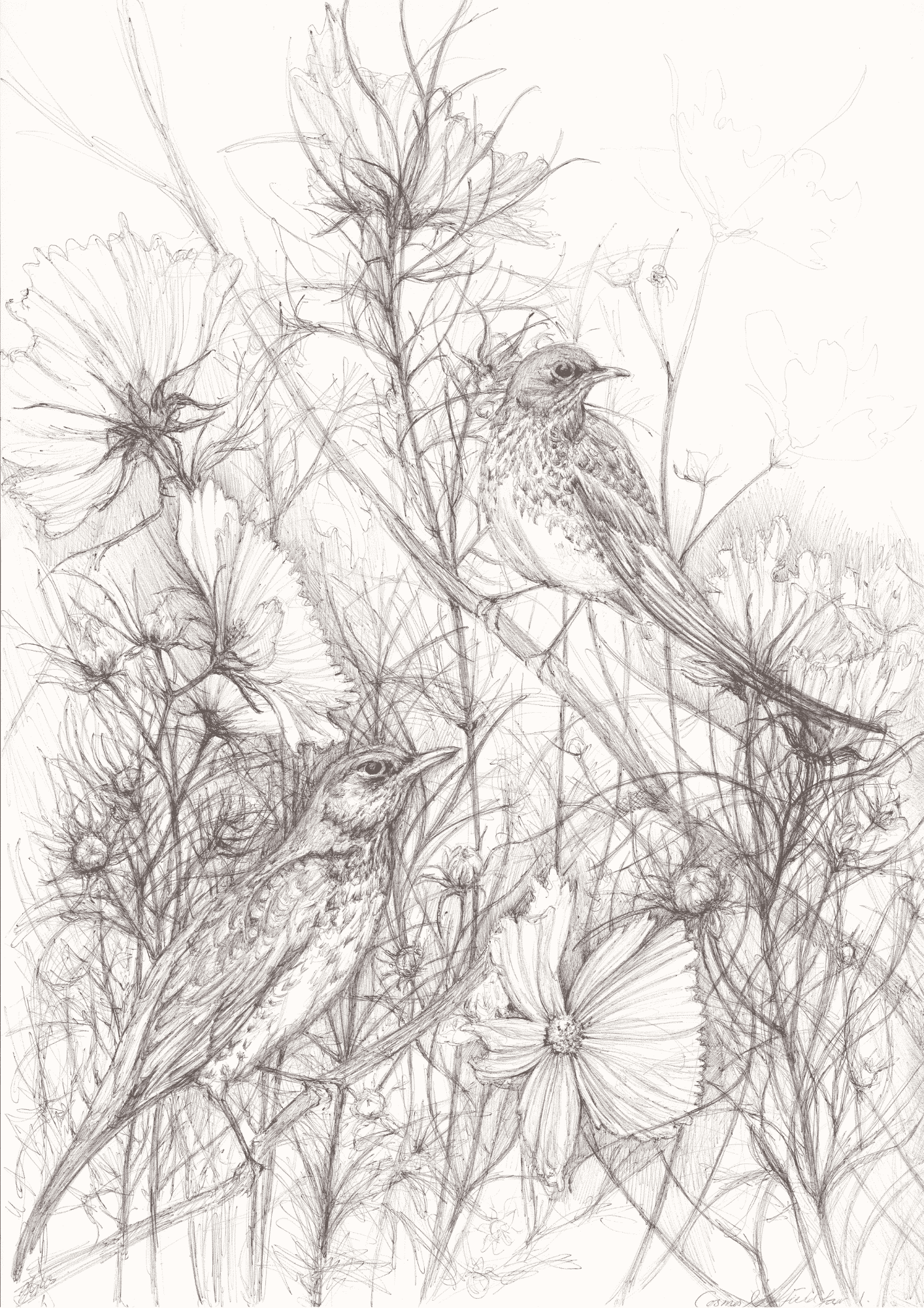 Among the Cosmos 1