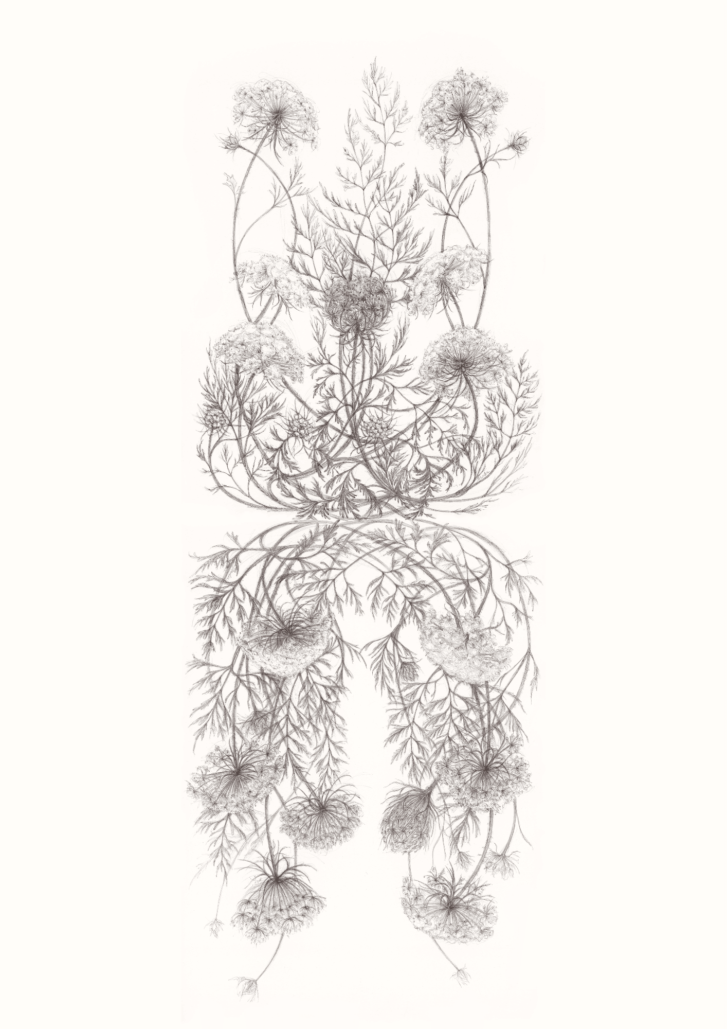 Horseshoe Tears Lace