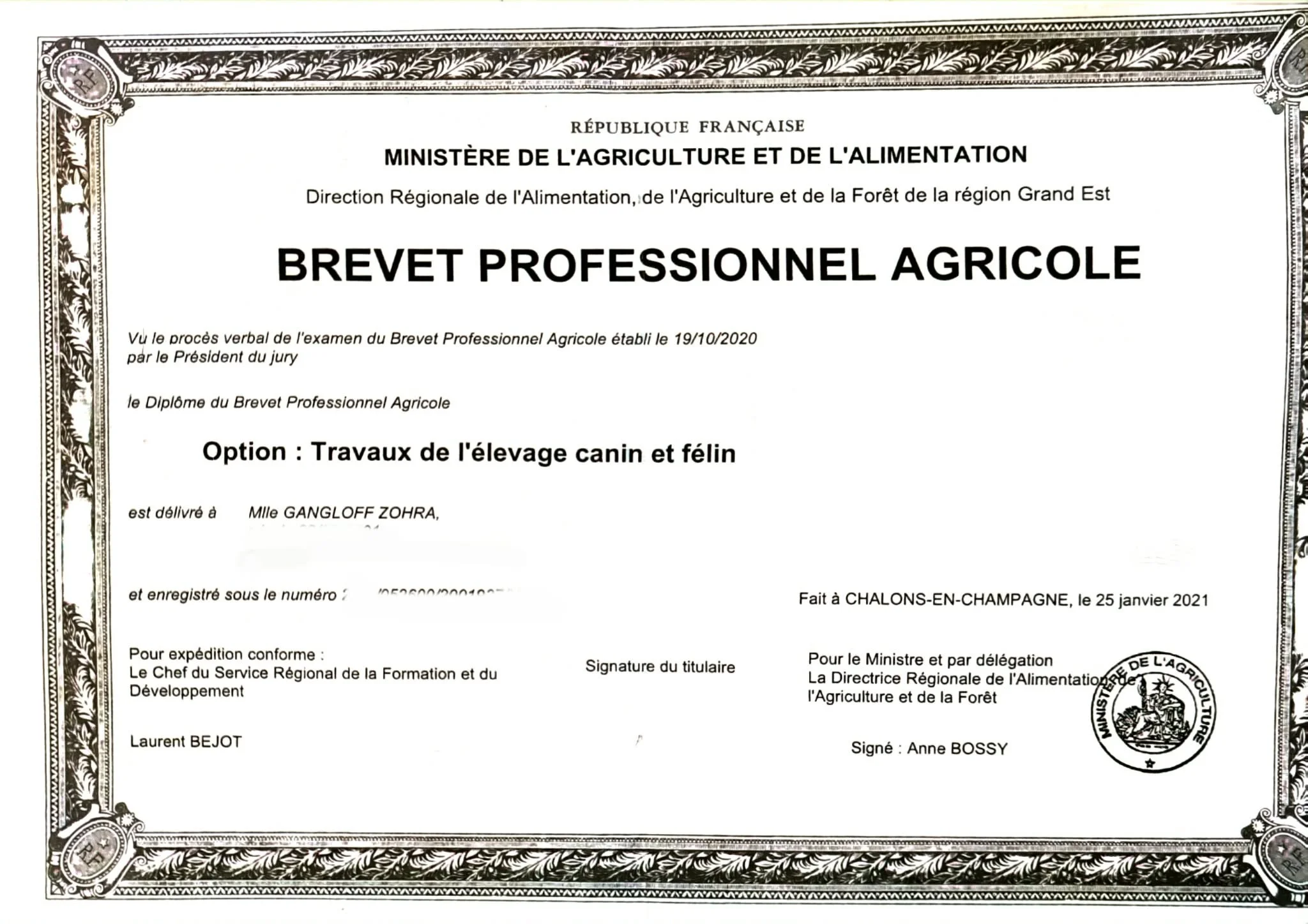 Certificat officiel de Brevet Professionnel Agricole en français, avec une bordure ornementale, contenant des informations personnelles et une signature, délivré à Châlons-en-Champagne en janvier 2021.