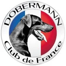 Logo du club de chiens Dobermann France avec un chien Dobermann en profil, couleurs du drapeau français en arrière-plan.