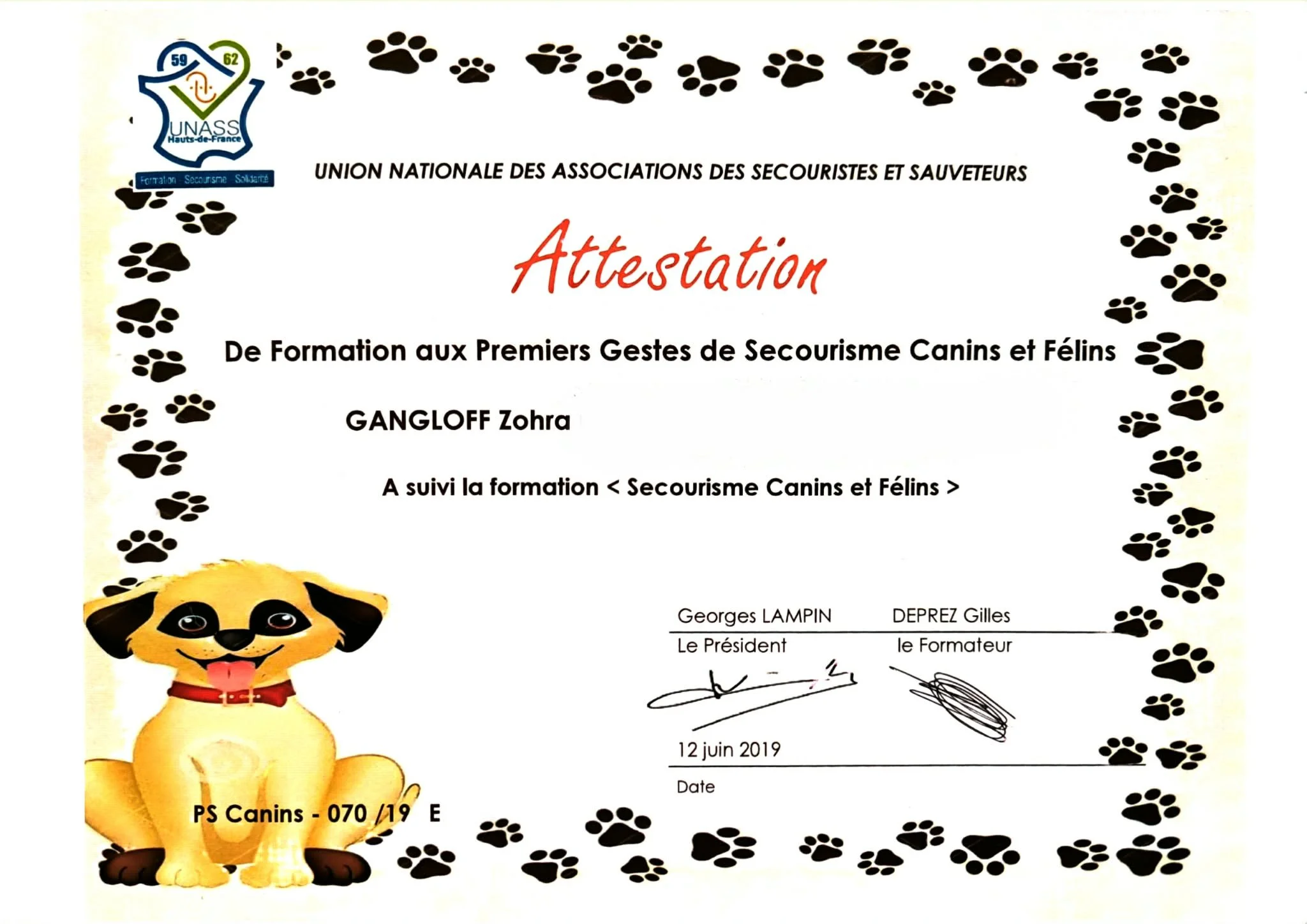 Certificat d'attestation de formation aux gestes de secourisme canins et félins, avec illustration d'un chien cartoon jaune et noir en bas à gauche, bordé de traces de pattes de chien en noir. Logo de l'Union Nationale des Associations des Secouristes et Sauveteurs en haut à gauche.