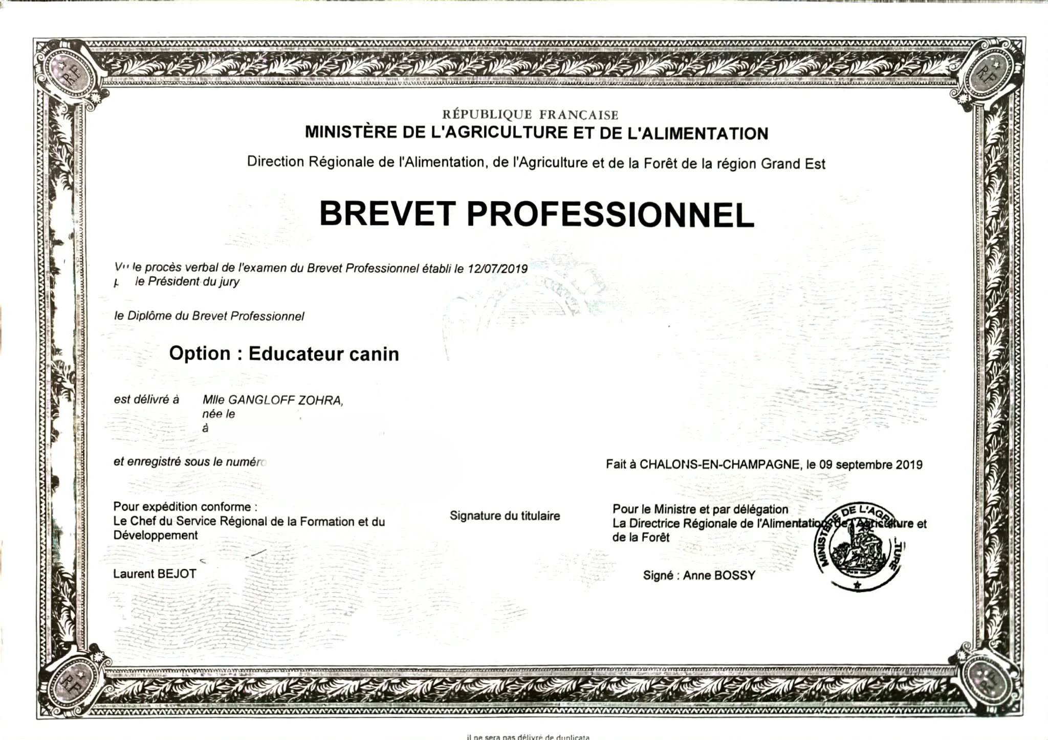 Certificat de brevet professionnel délivré en France pour la catégorie Educateur canin, daté du 9 septembre 2019, avec signatures et sceau officiel, décoratif avec une bordure complexe.