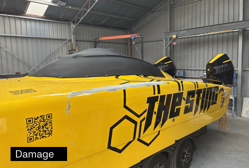 2 The Sting - Damage.png
