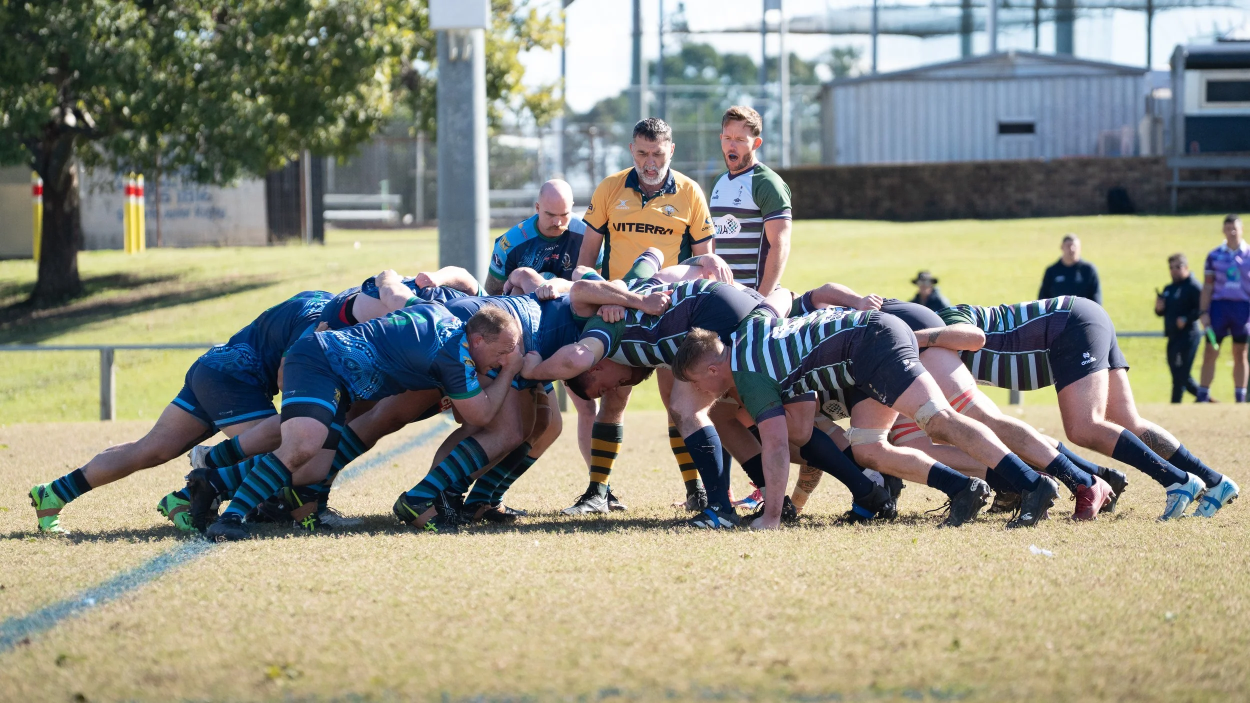 A rugby match with players engaged in a scrum on a grassy field, with coaches and spectators in the background under sunny weather.