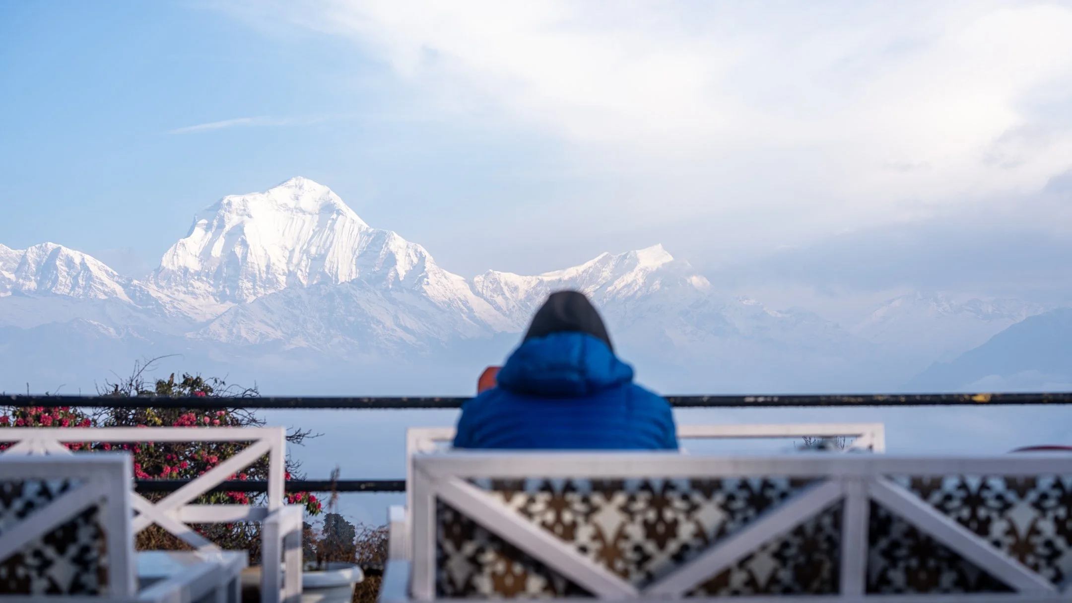 Person in a blue jacket sitting on a white bench, looking at snow-capped mountains in the distance.