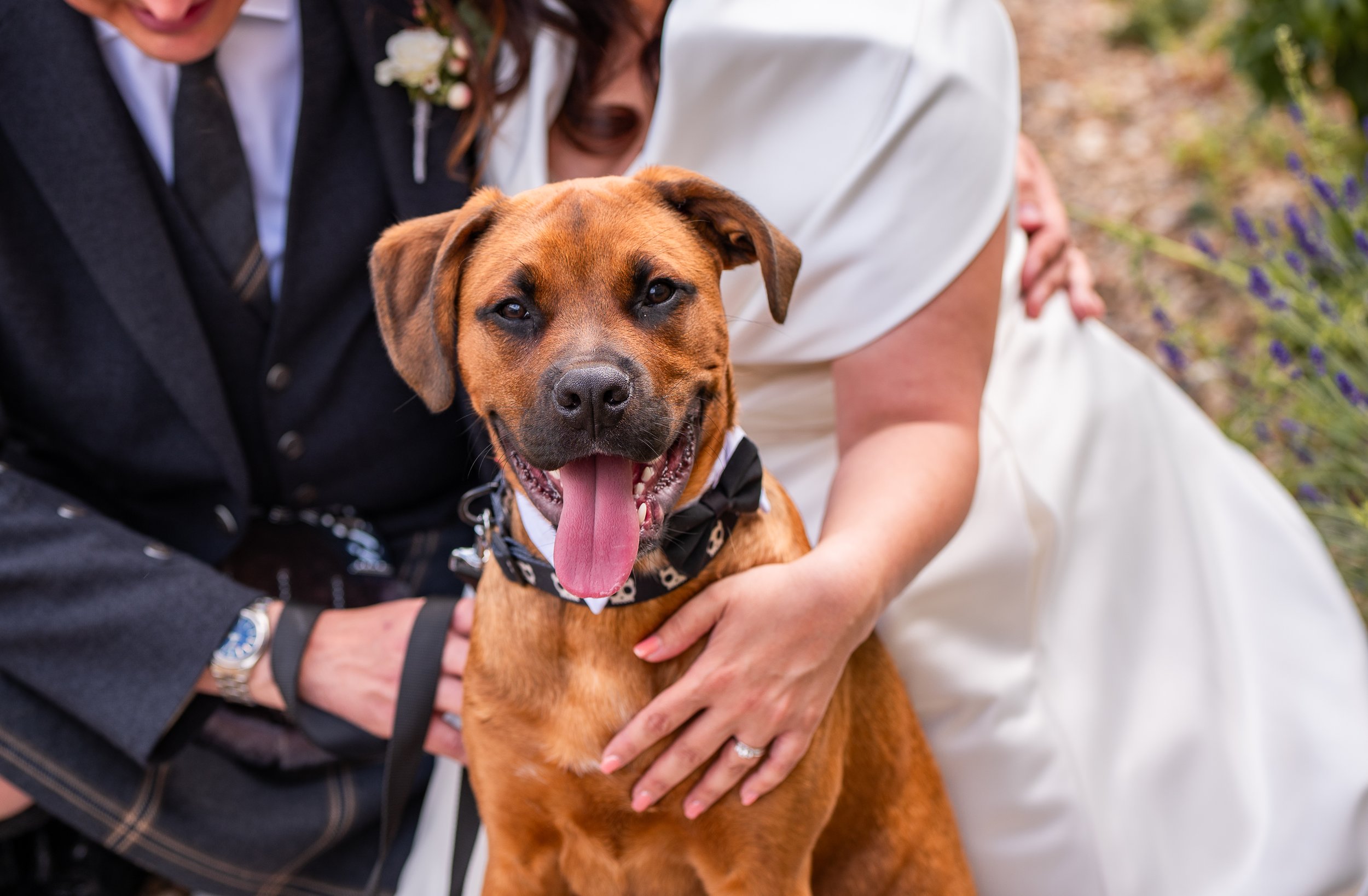 wedding-272.jpg