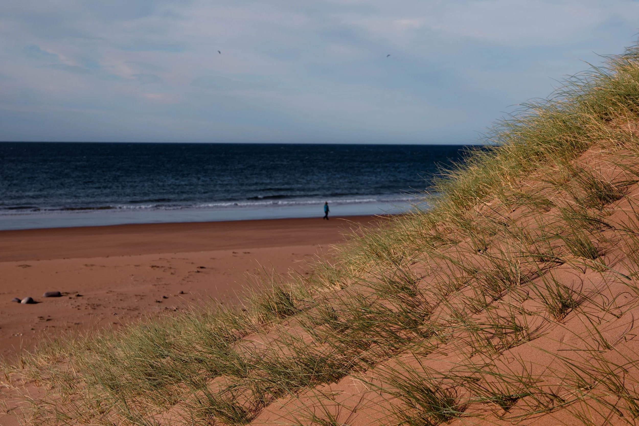 red point-1011985.jpg