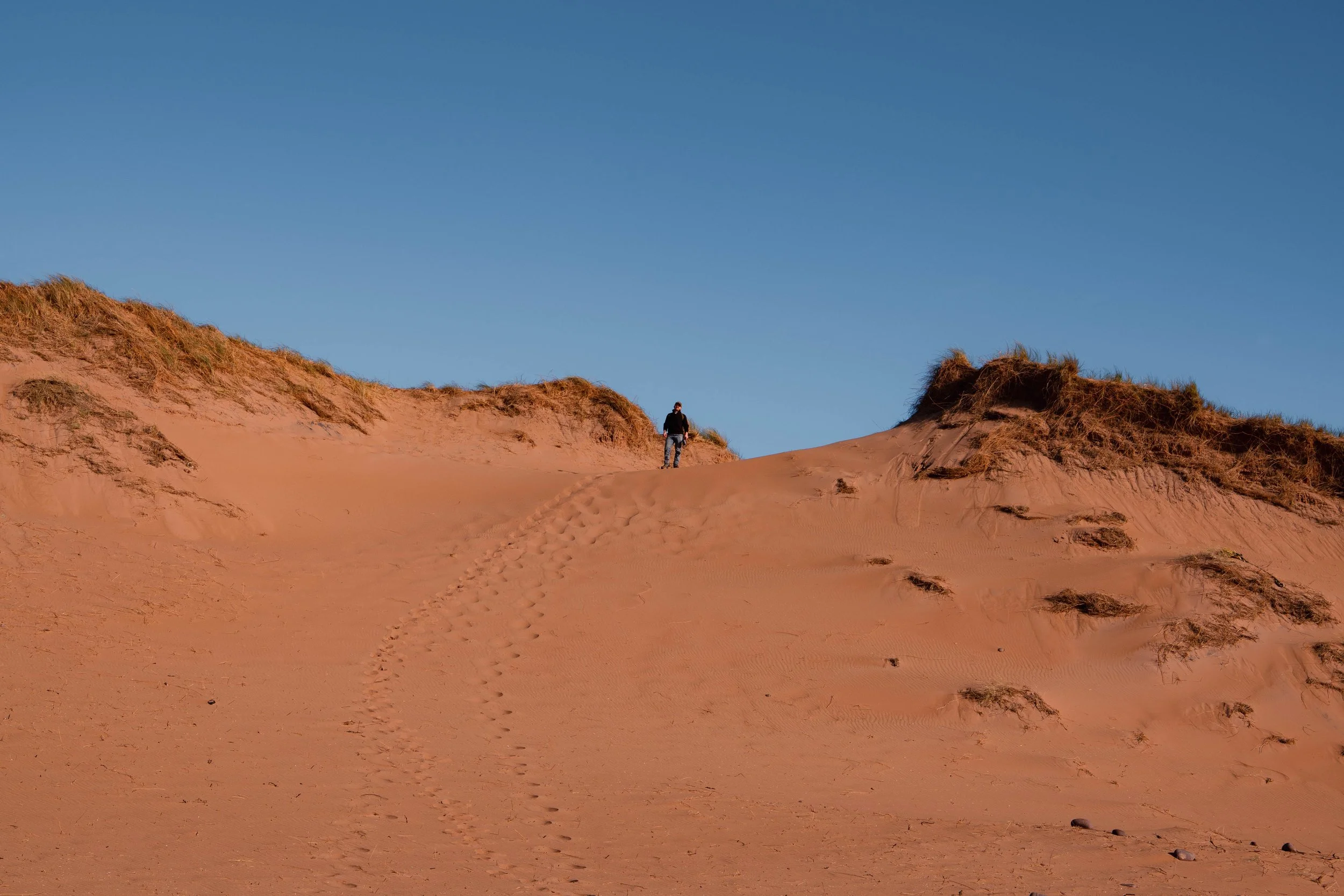 red point-1012059.jpg