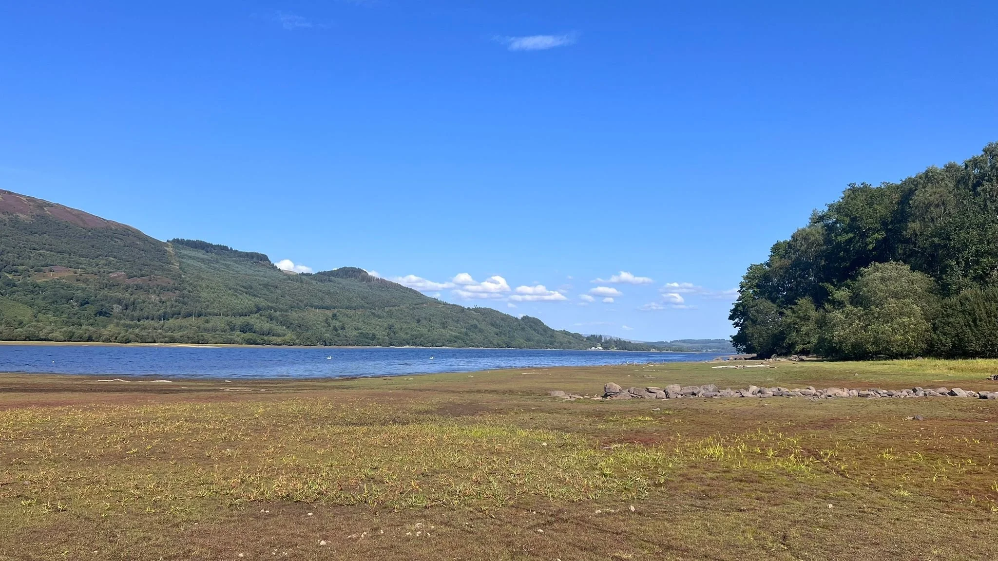 WhatsApp Image 2026-01-08 at 16.06.26.jpeg