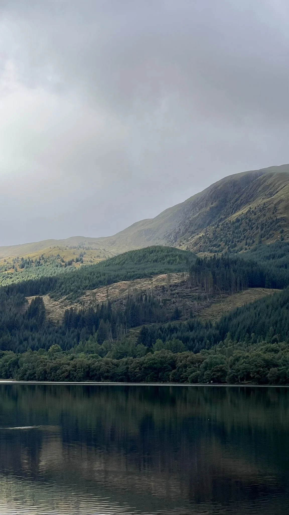 WhatsApp Image 2026-01-08 at 15.48.30.jpeg