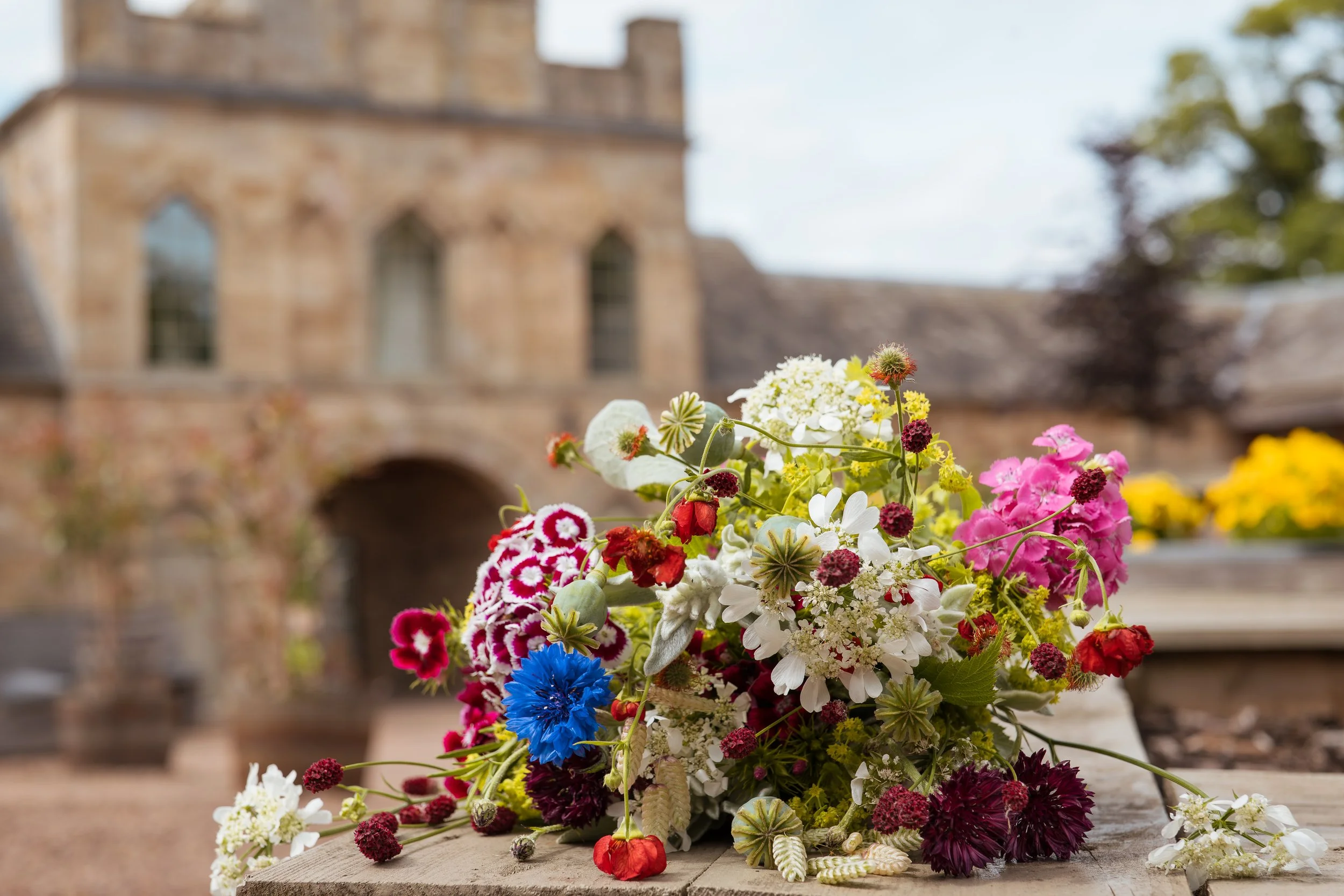 Rosebery Shoot-10.jpg