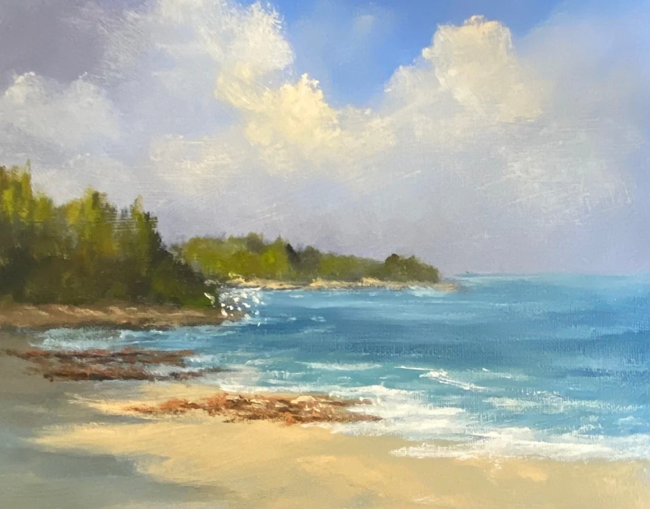  Sun and Shade. 8x10"
