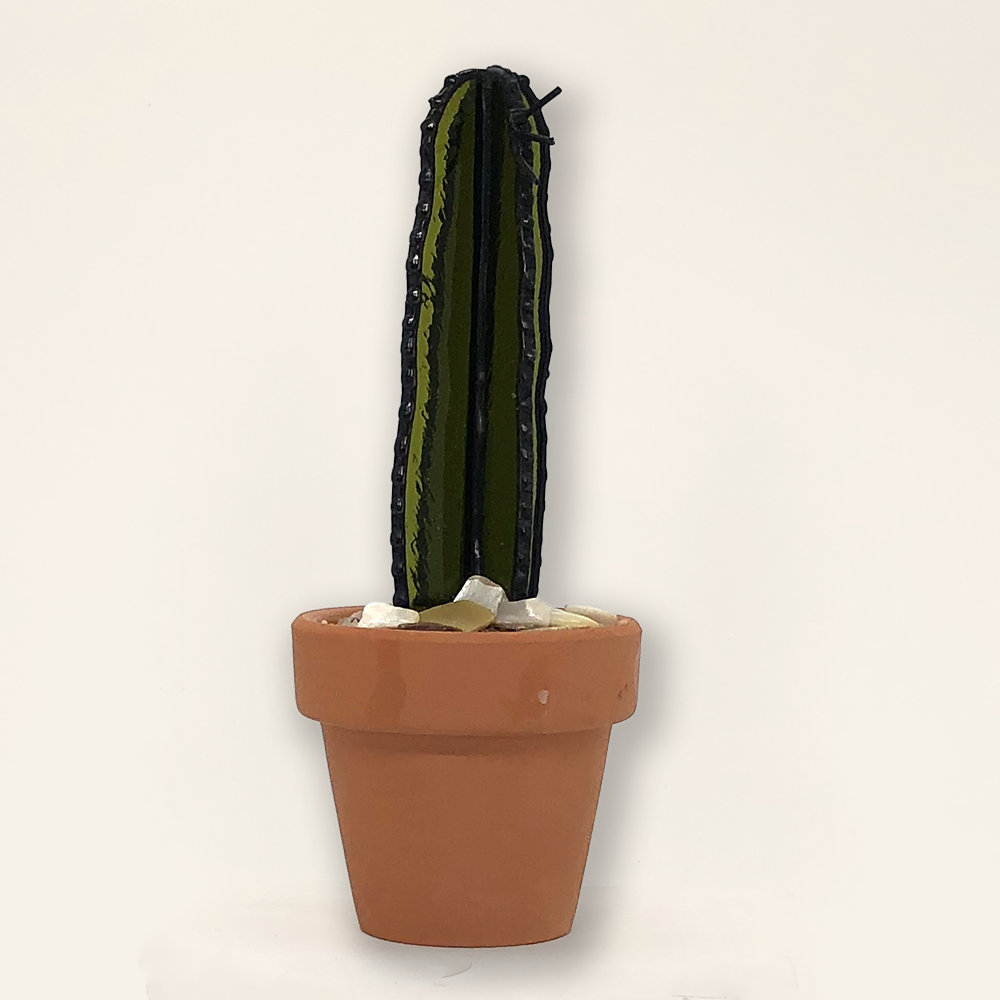 Contemporary+Cactus1.webp