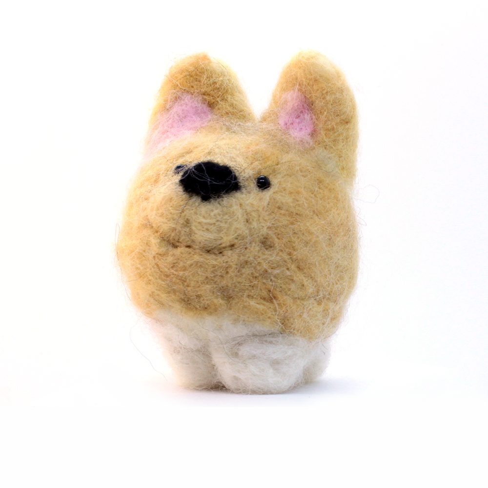 Jackson The Welsh Corgi.webp