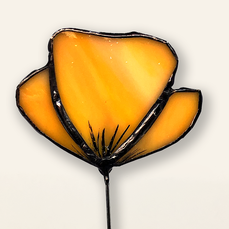 OrangePoppy1.webp