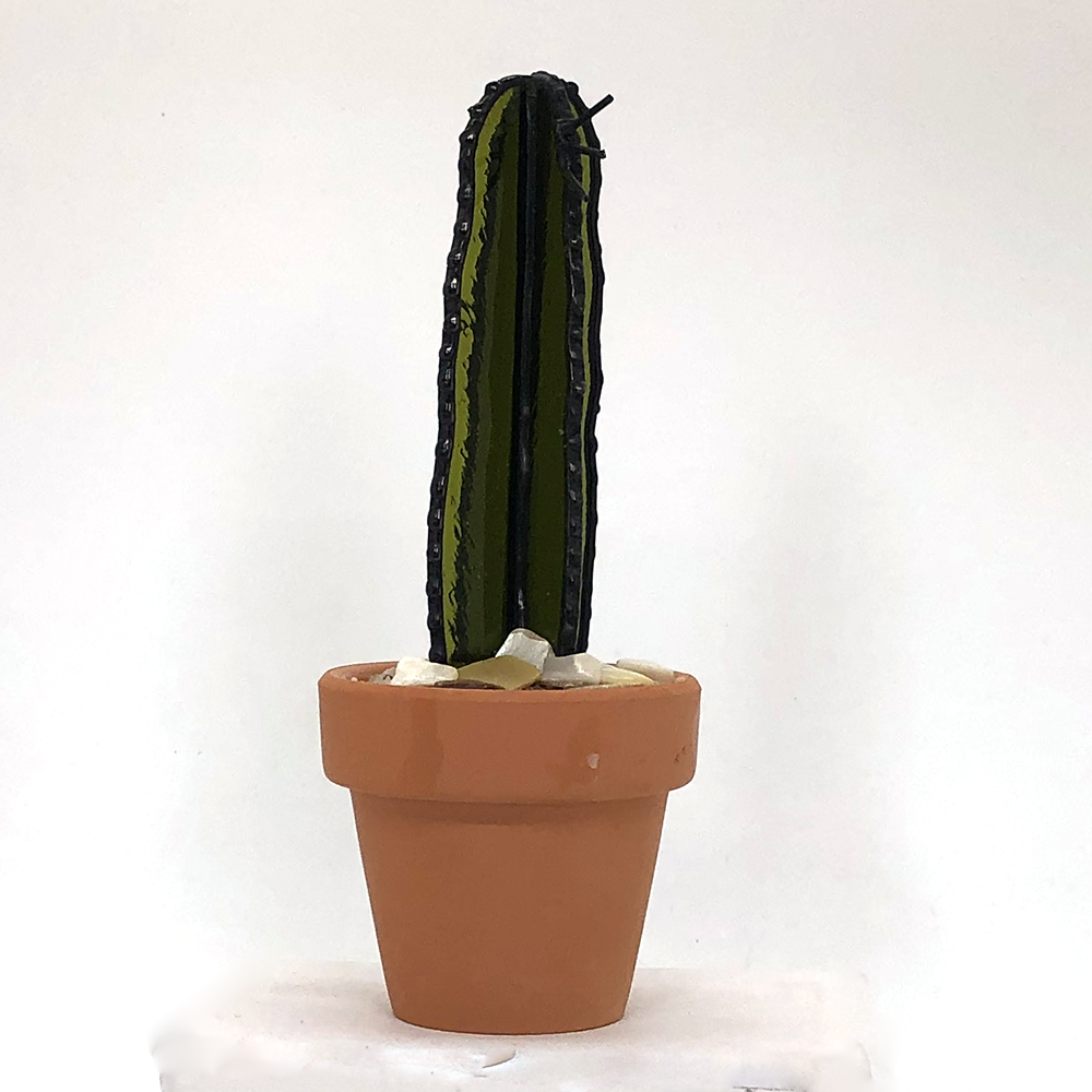 Contemporary Cactus1.png