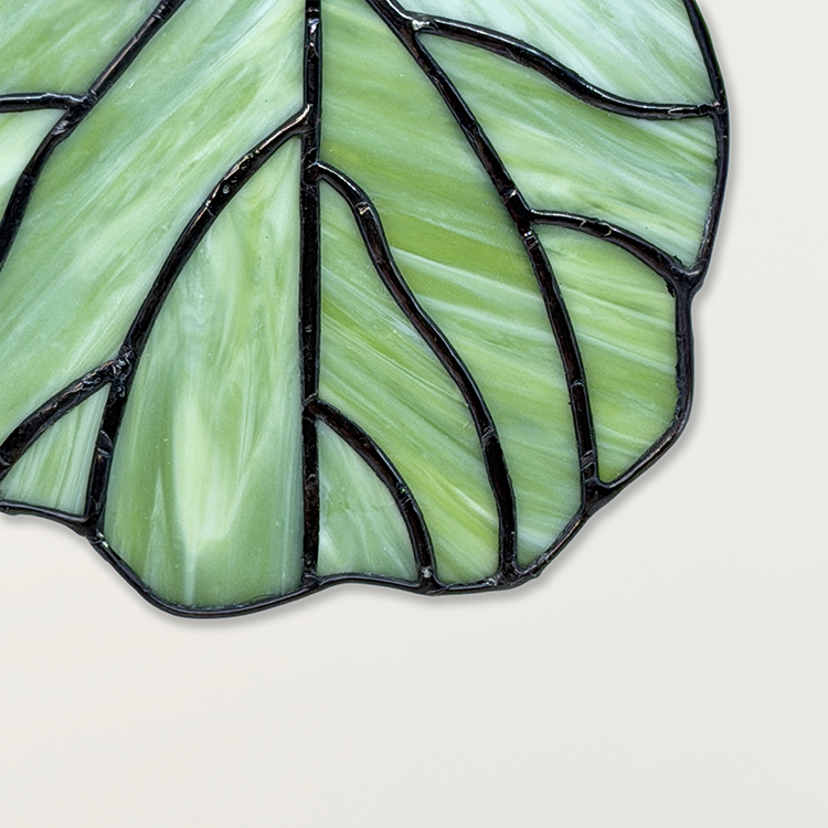 Fiddlelight2.webp