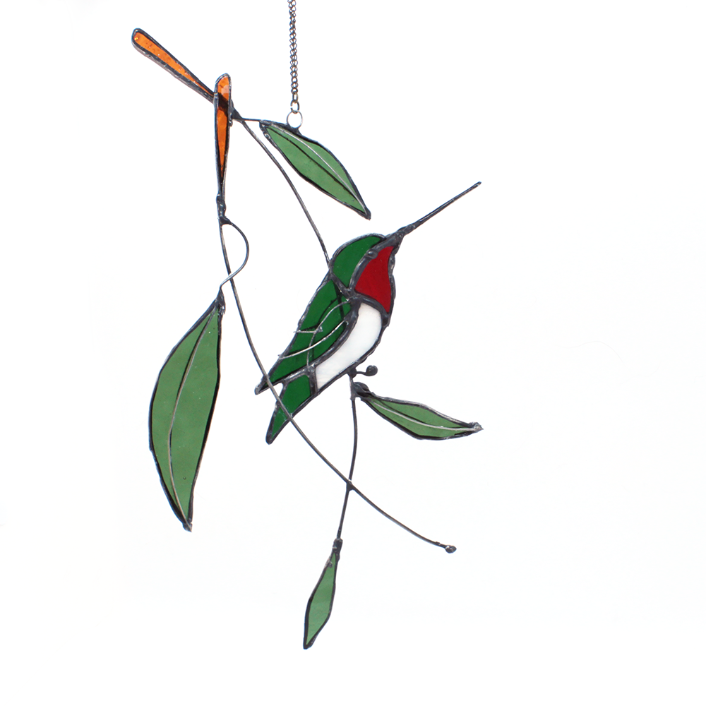 Hummingbird in Eucalyptus